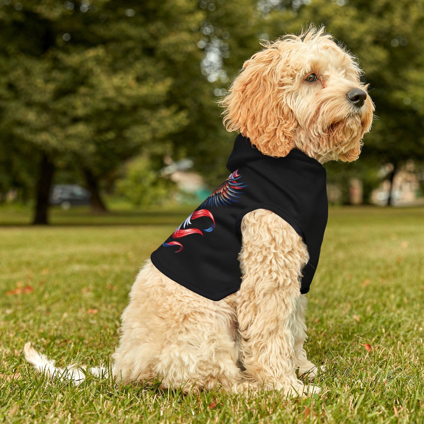 Princess Grace  Patriotic Eagle Pet Hoodie  USA Flag Design for Dogs