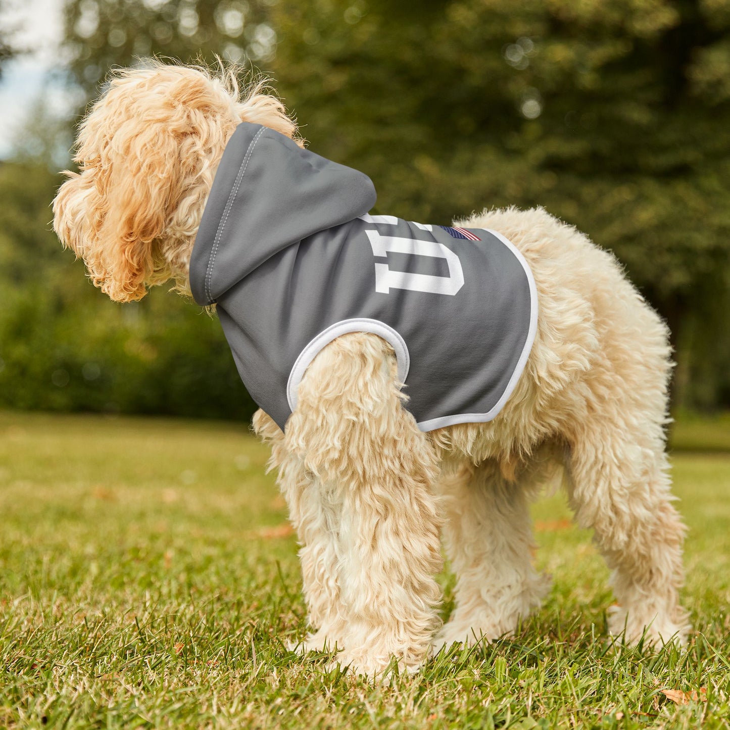 Princess Grace  TEAM USA  Pet Hoodie