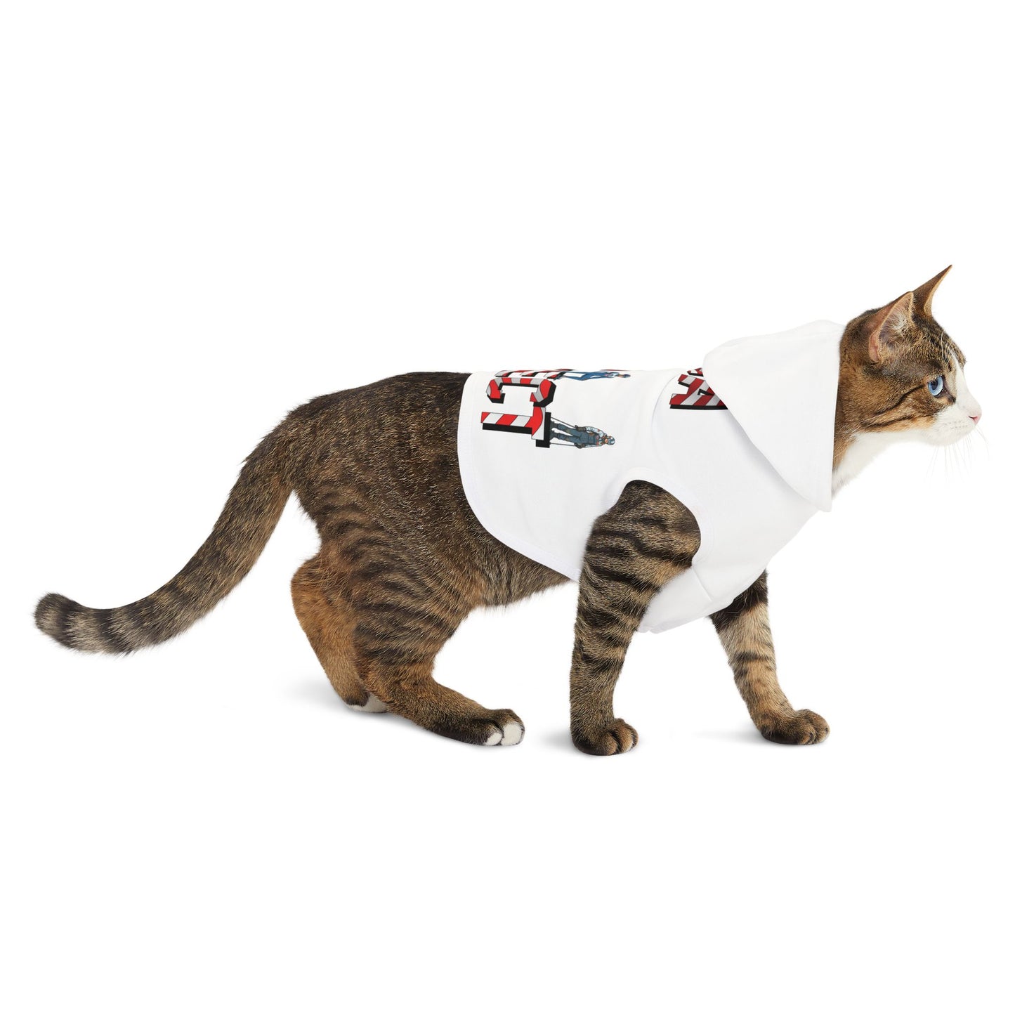 Princess Grace  TEAM USA  Pet Hoodie