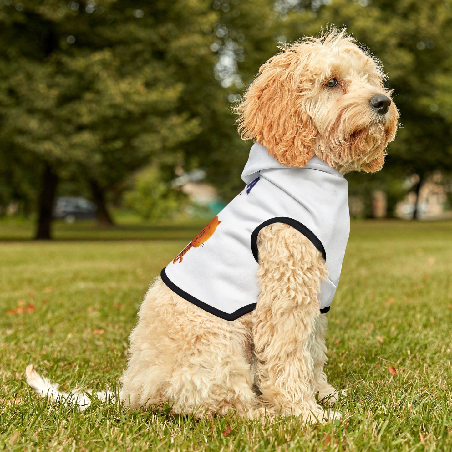 Princess Grace  TEAM USA  Pet Hoodie