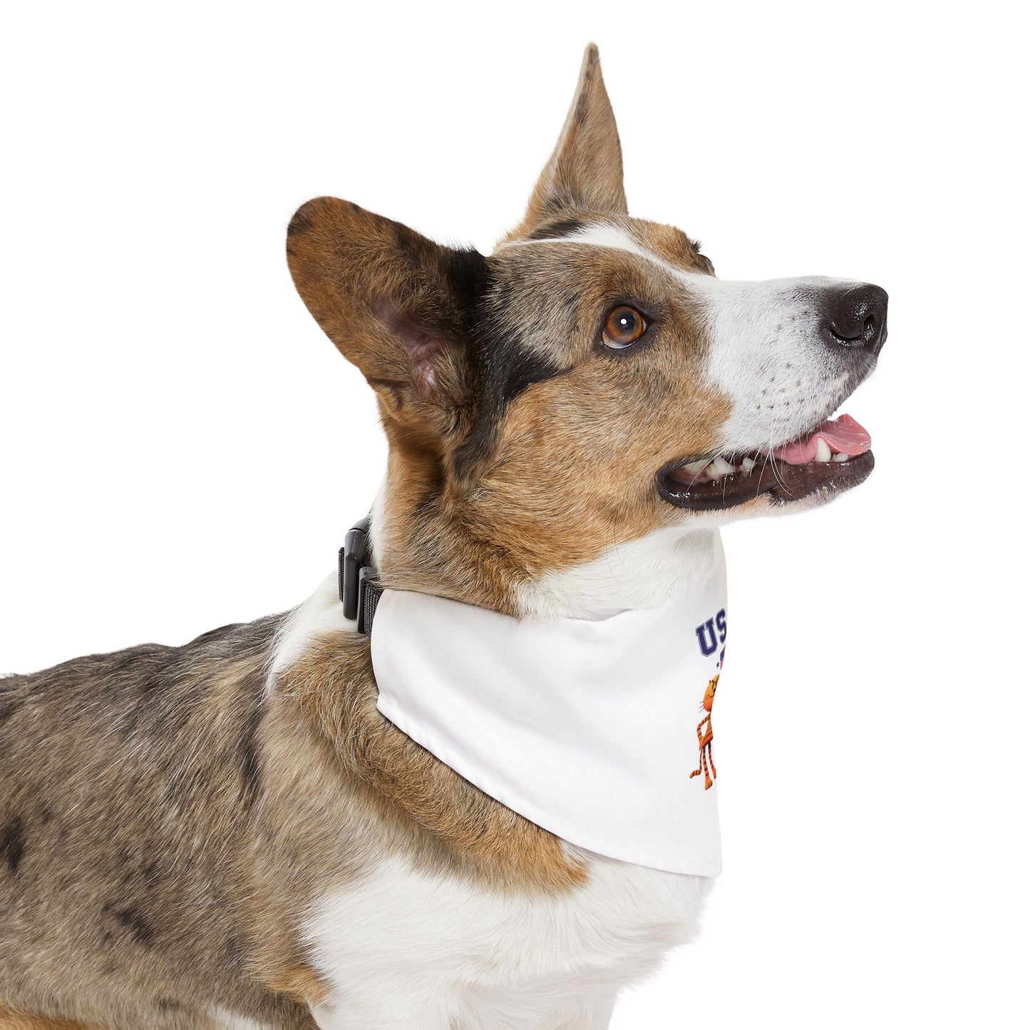 Princess Grace  TEAM USA  Pet Bandana Collar