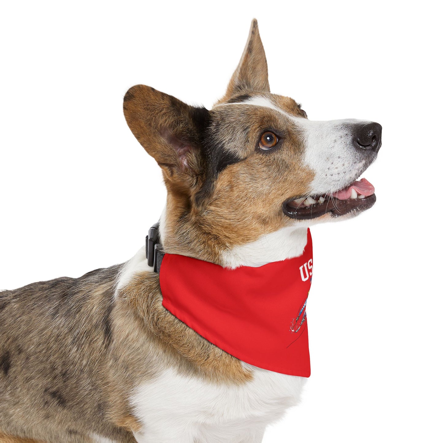 Princess Grace  TEAM USA  Pet Bandana Collar