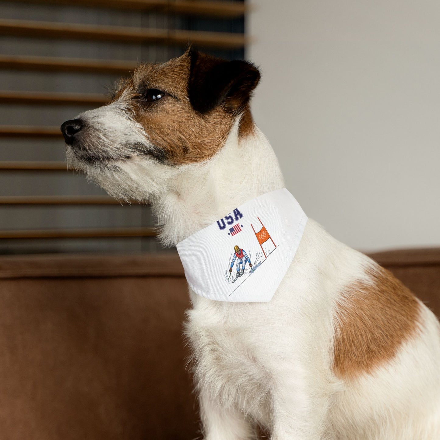 Princess Grace  TEAM USA  Pet Bandana Collar