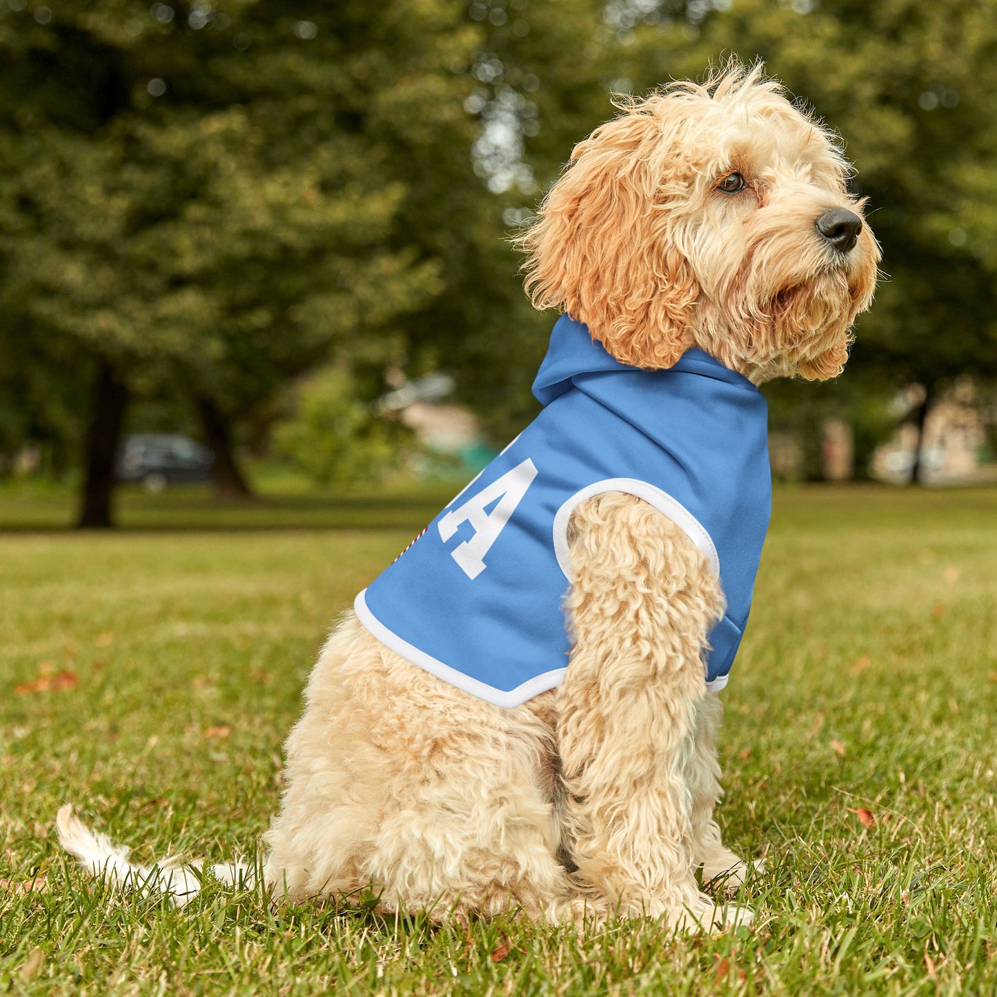 Princess Grace  TEAM USA  Pet Hoodie