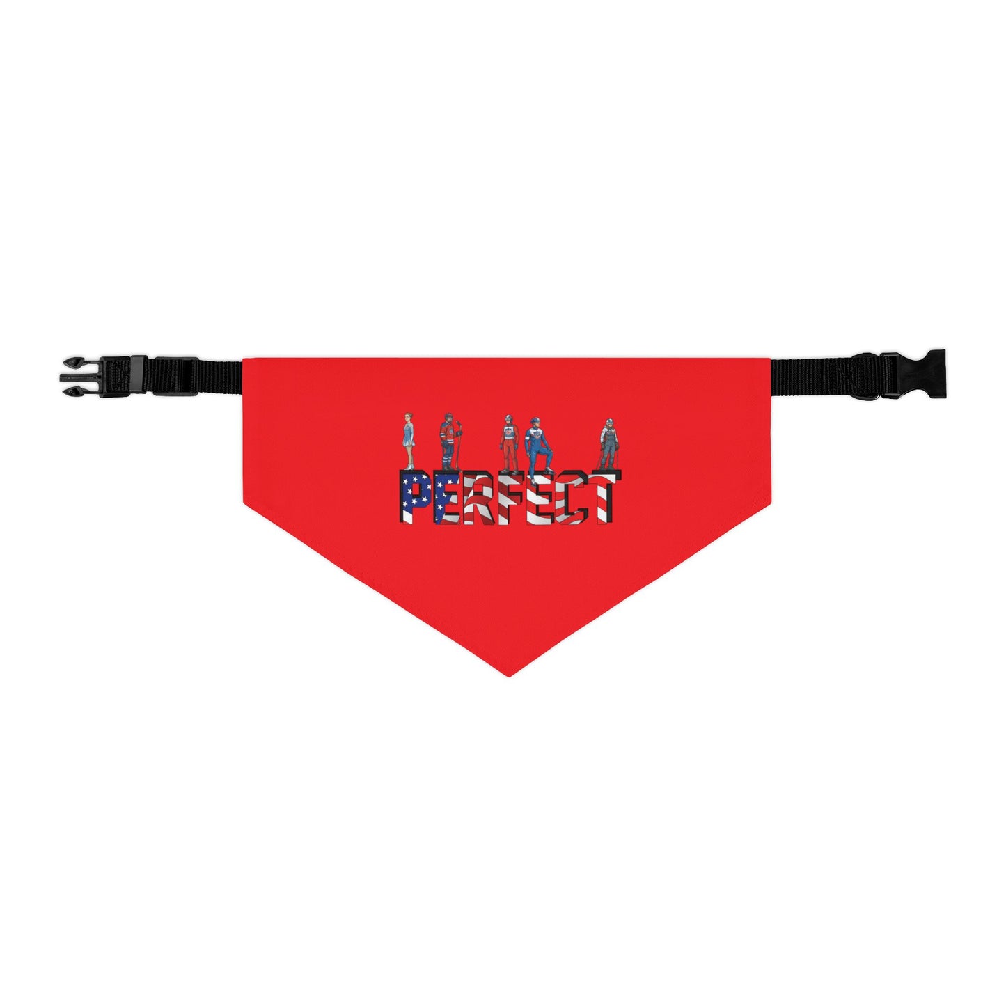 Princess Grace  TEAM USA  Pet Bandana Collar