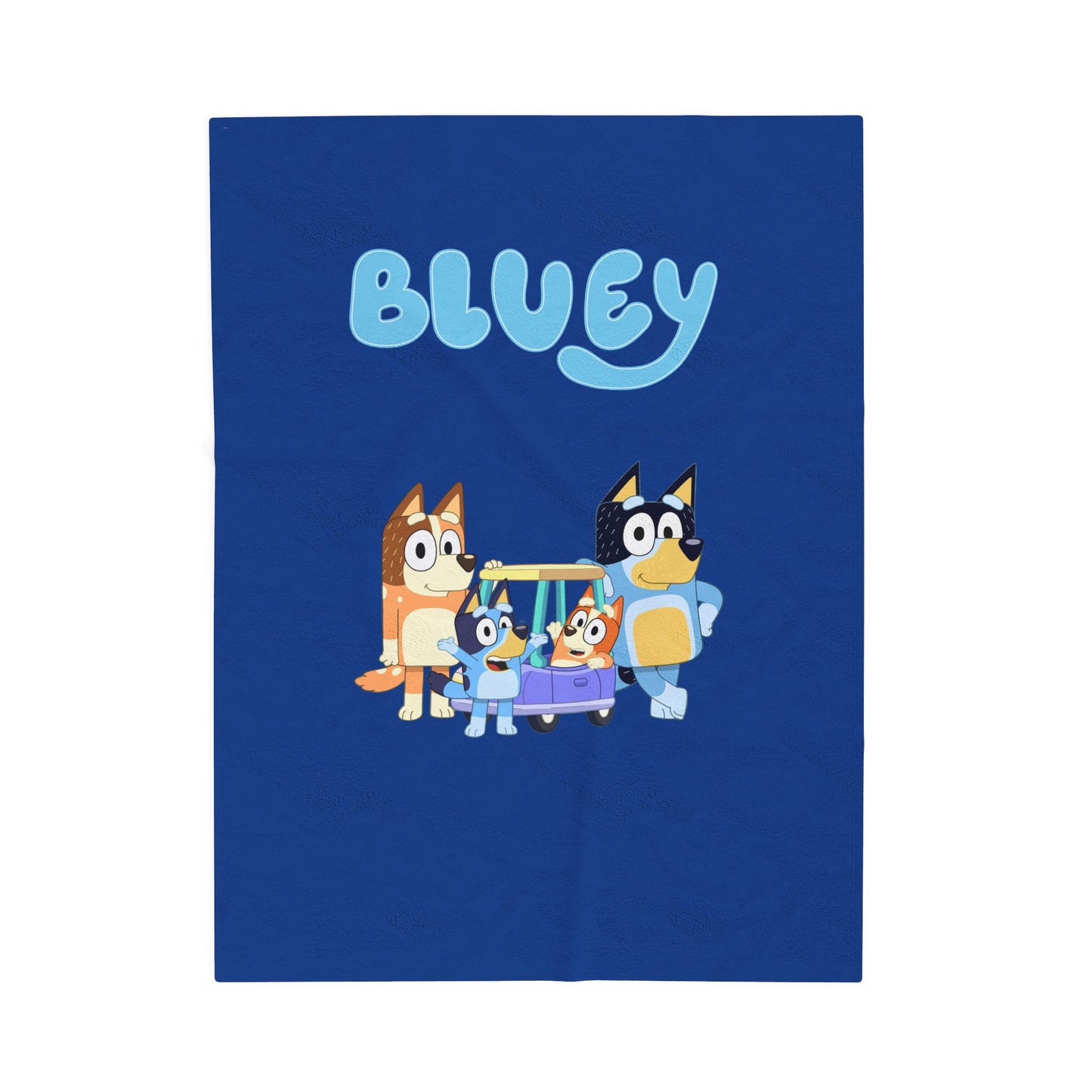 Princess Grace  Bluey Velveteen Plush Blanket  Soft Cozy Throw for Kids