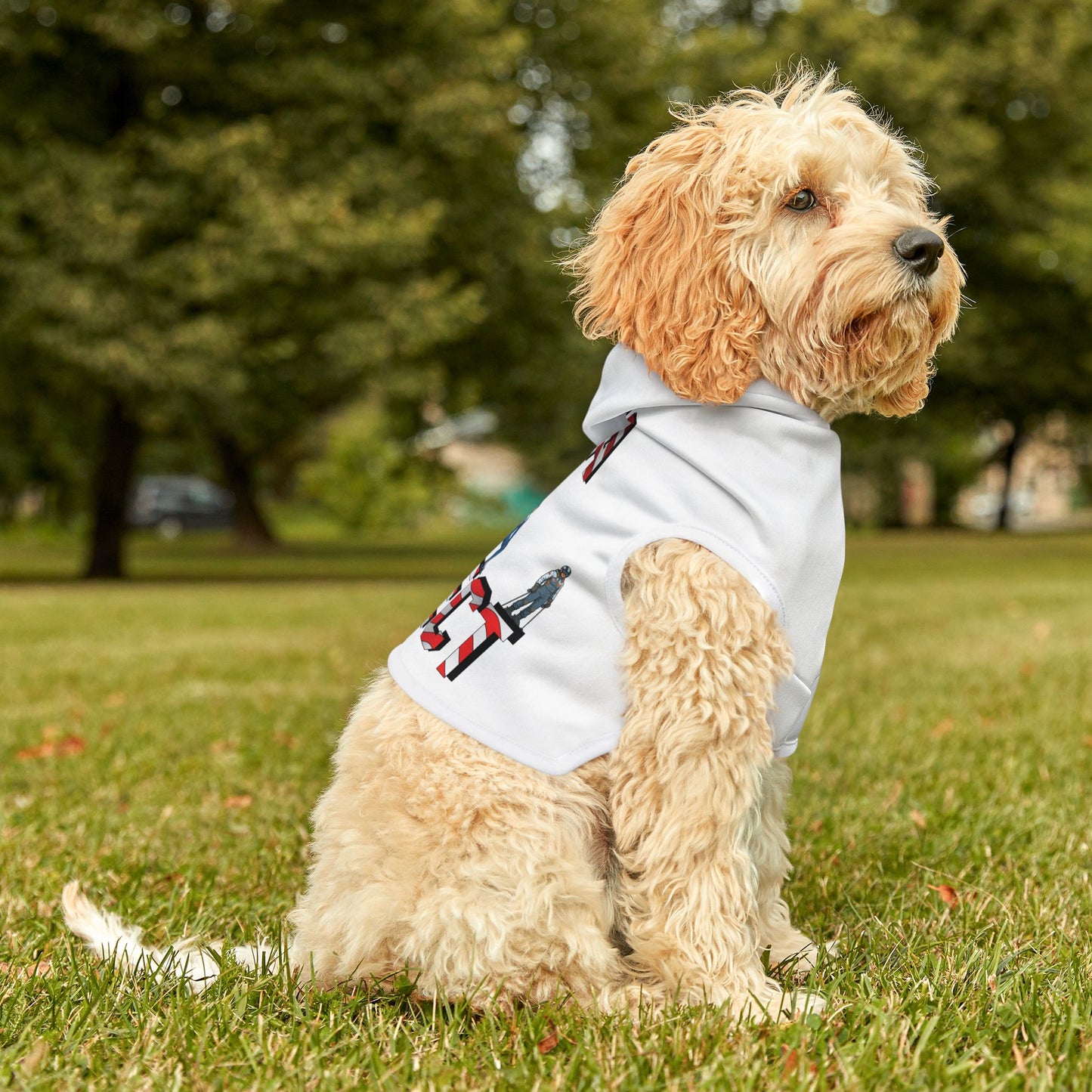 Princess Grace  TEAM USA  Pet Hoodie