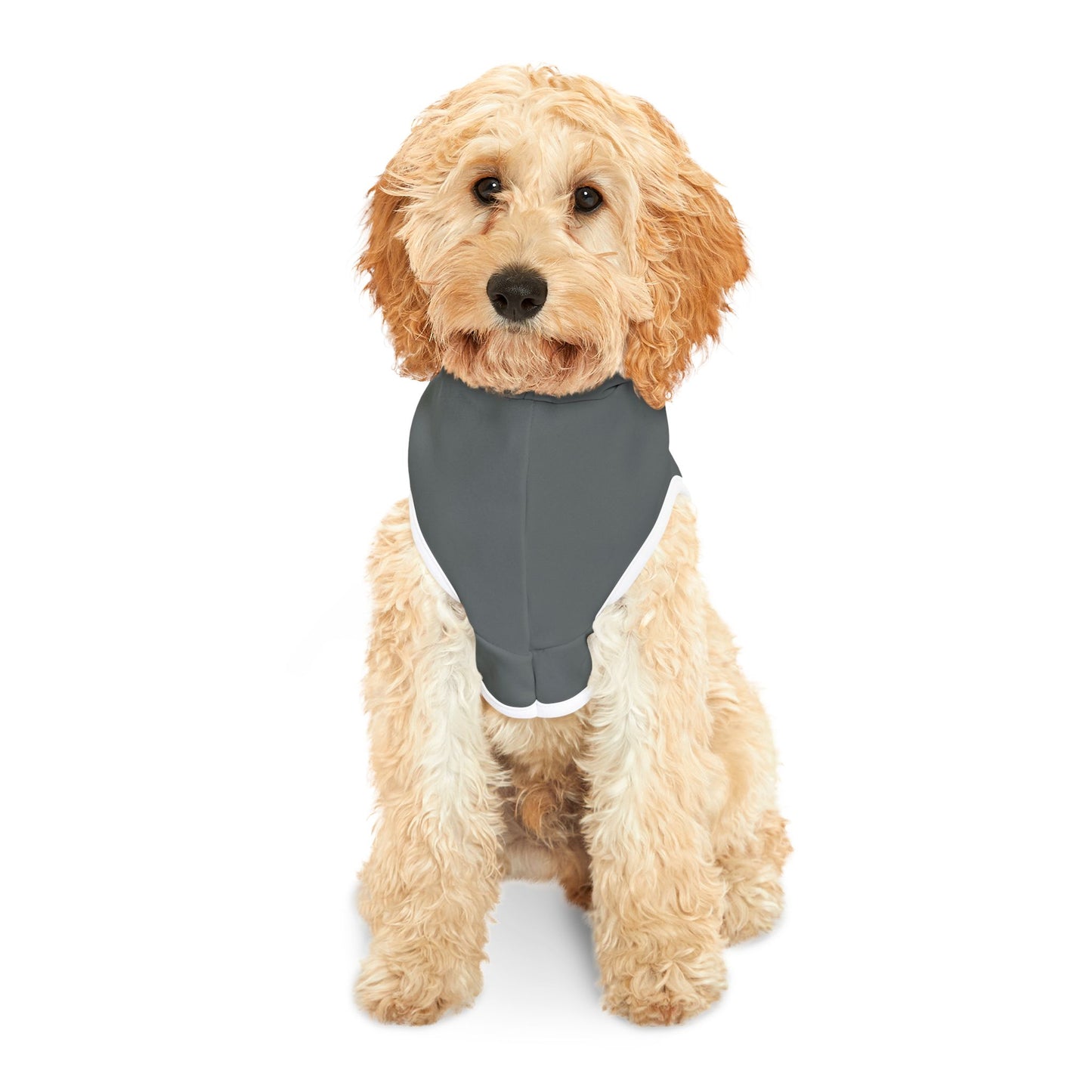 Princess Grace  Patriotic Eagle Pet Hoodie  Perfect for Holidays and Outdoor Adventures