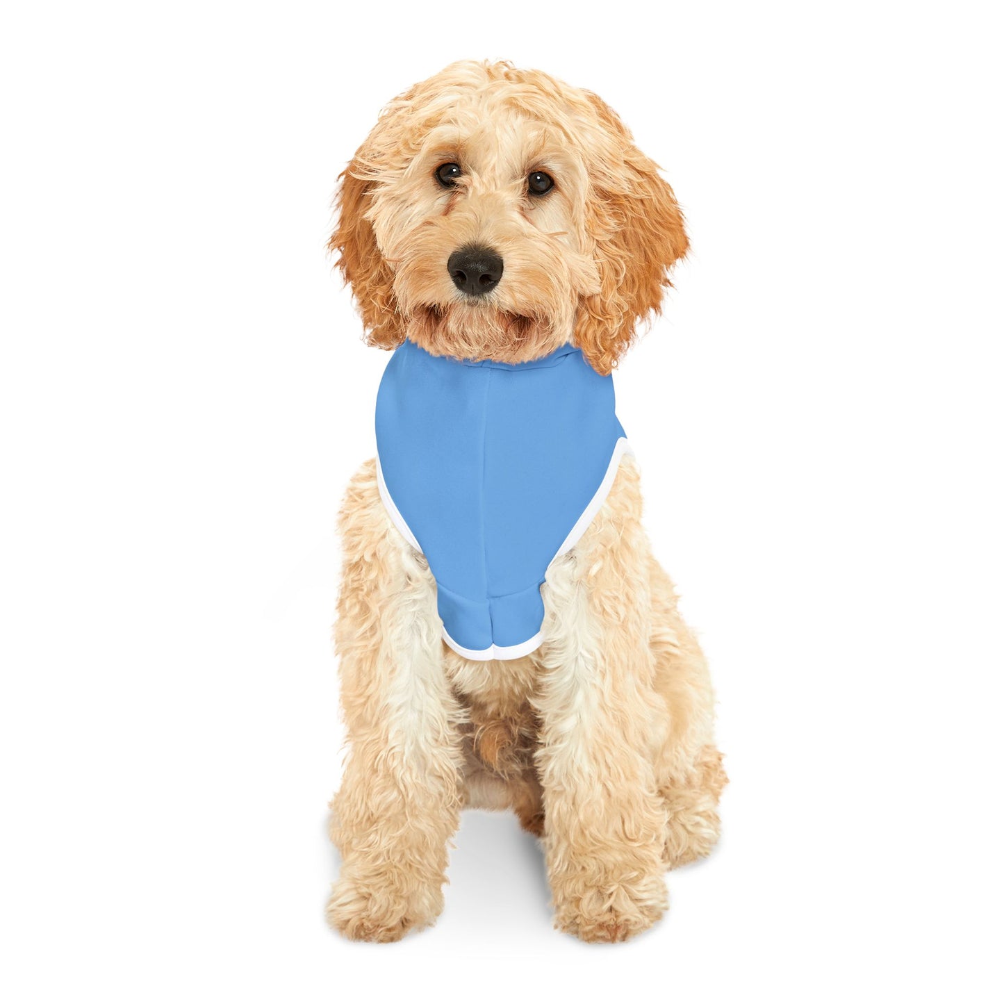 Princess Grace  USA Flag Pet Hoodie  Stylish and Cozy Dog Apparel for Holidays and Celebrations