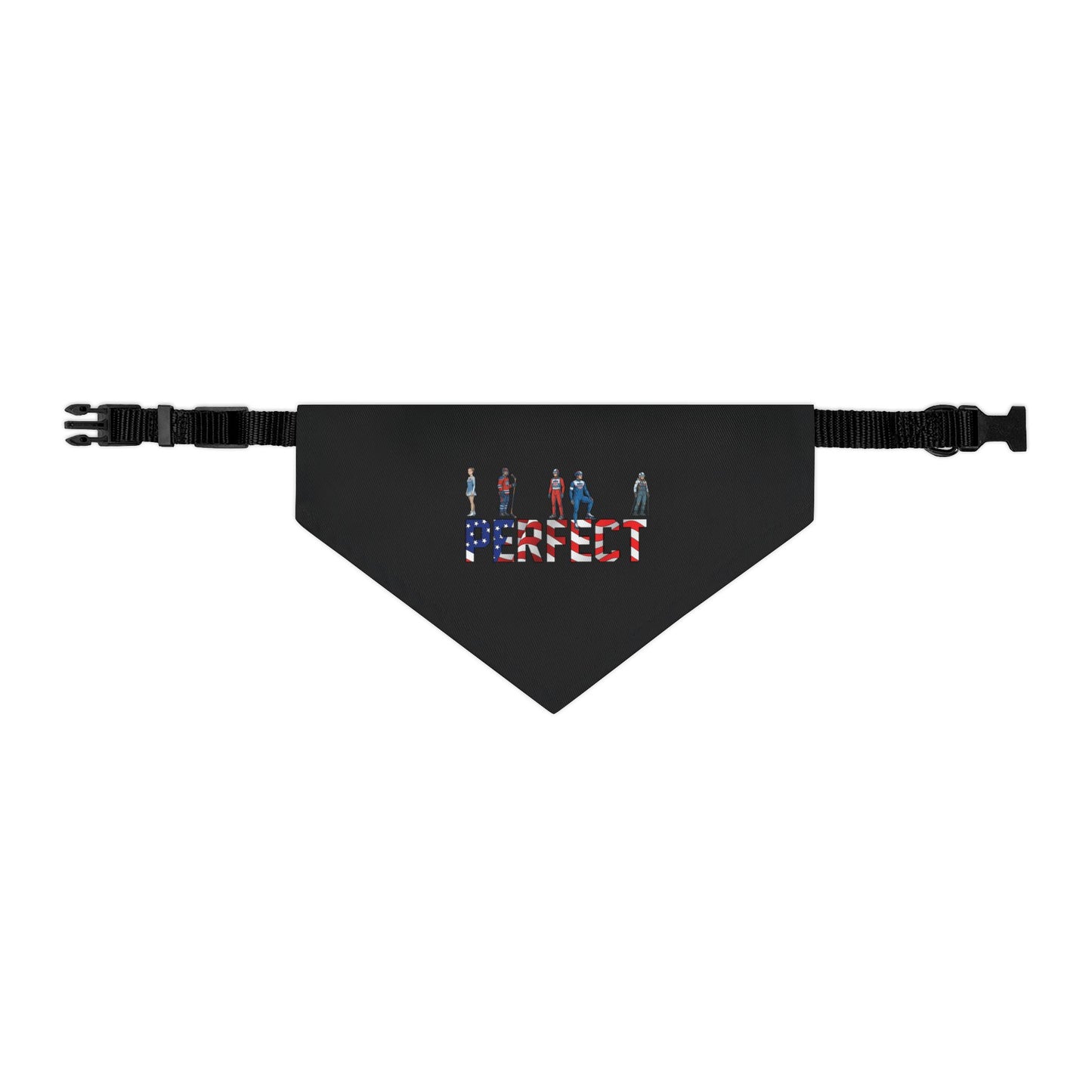 Princess Grace  TEAM USA  Pet Bandana Collar