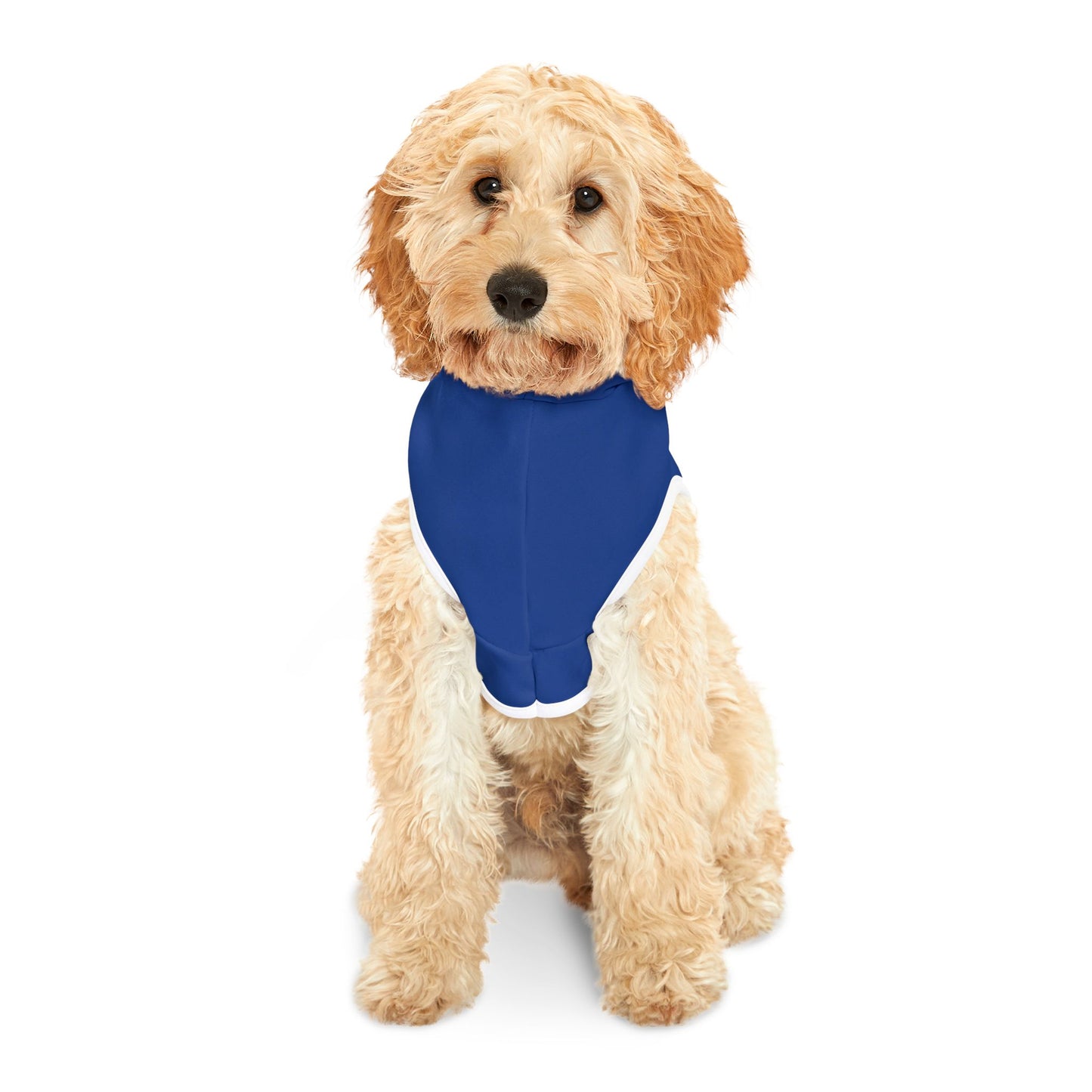 Princess Grace  USA Themed Pet Hoodie Perfect for Celebrations and Patriotic Occasions