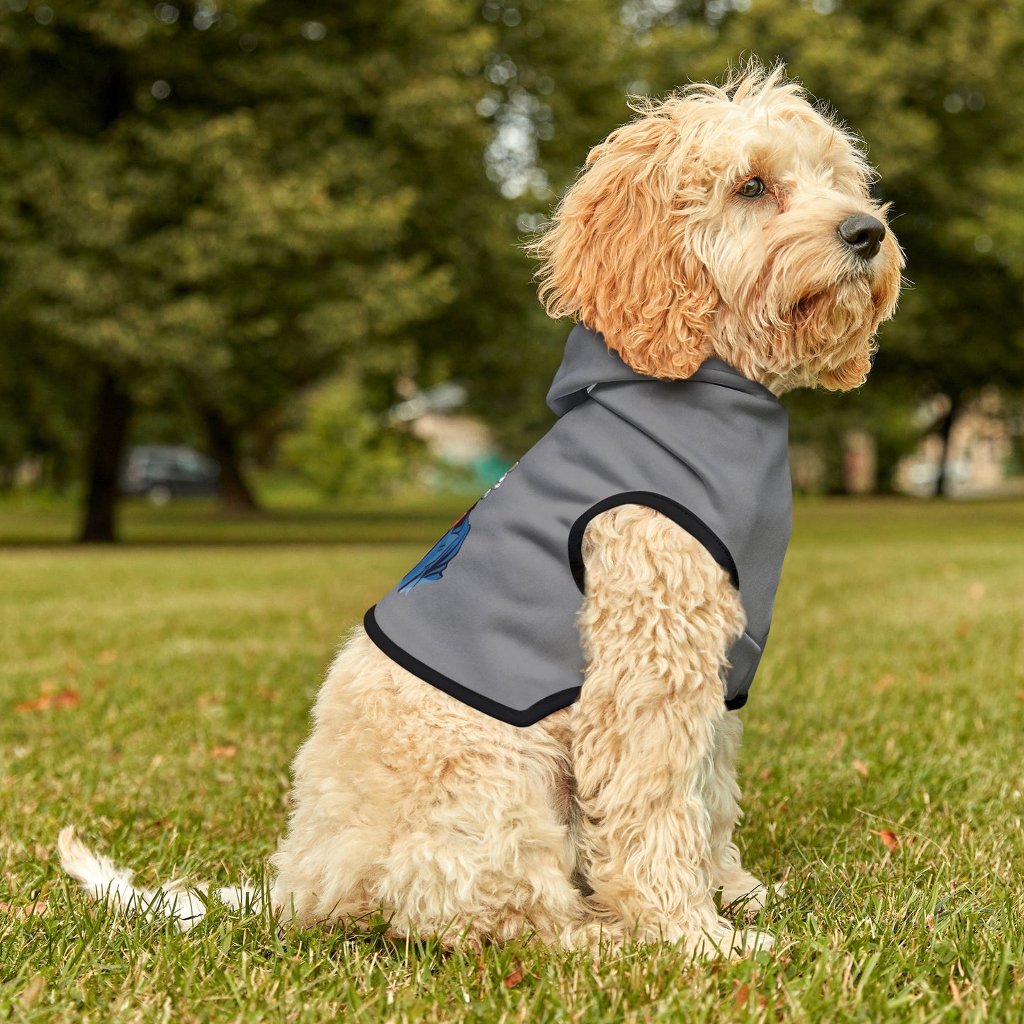 Princess Grace  TEAM USA  Pet Hoodie