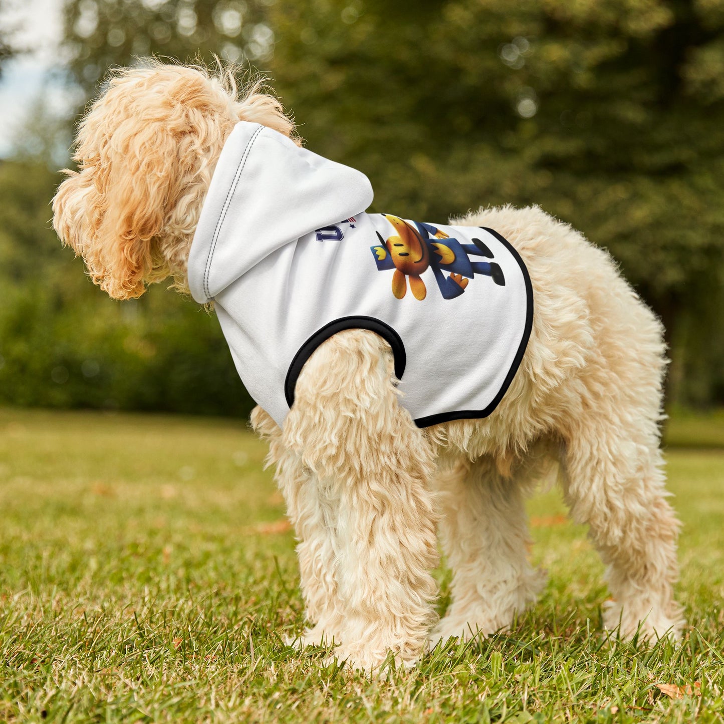 Princess Grace  TEAM USA  Pet Hoodie