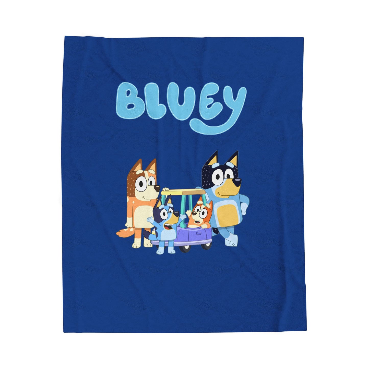 Princess Grace  Bluey Velveteen Plush Blanket  Soft Cozy Throw for Kids