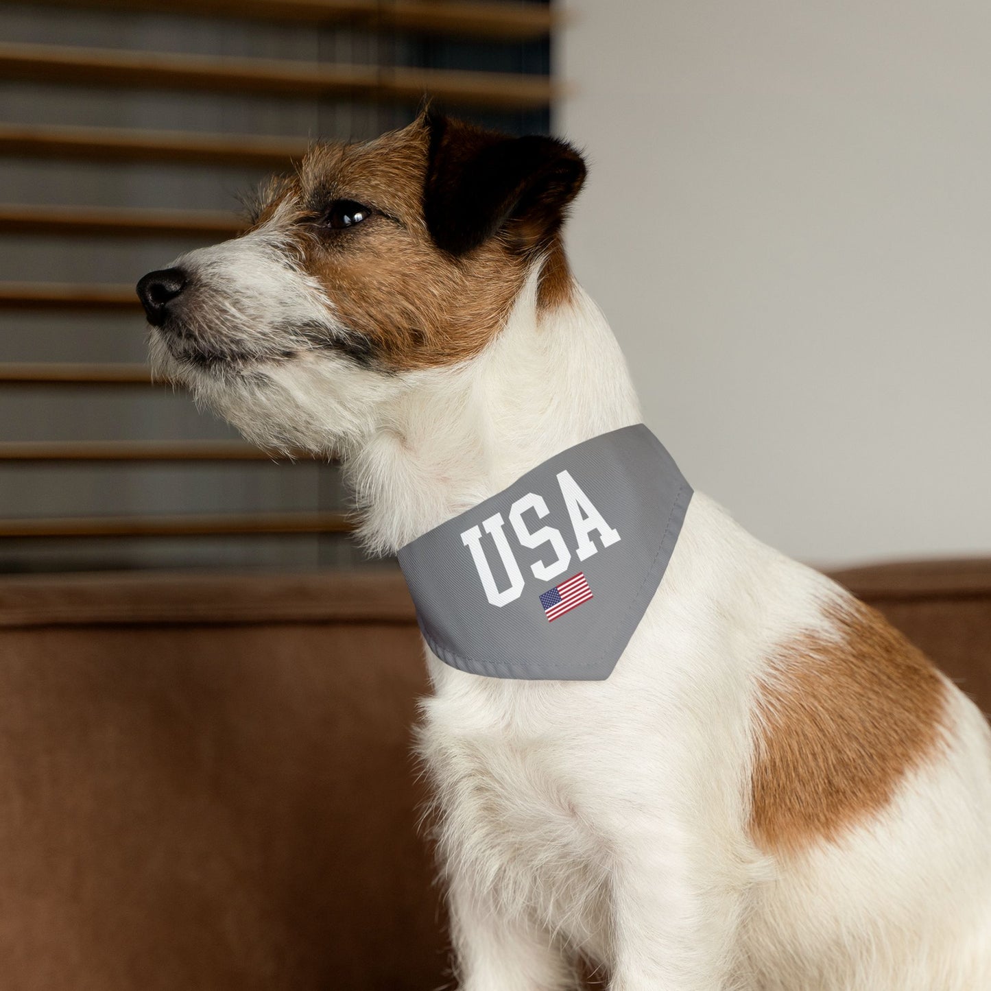 Princess Grace  TEAM USA  Pet Bandana Collar