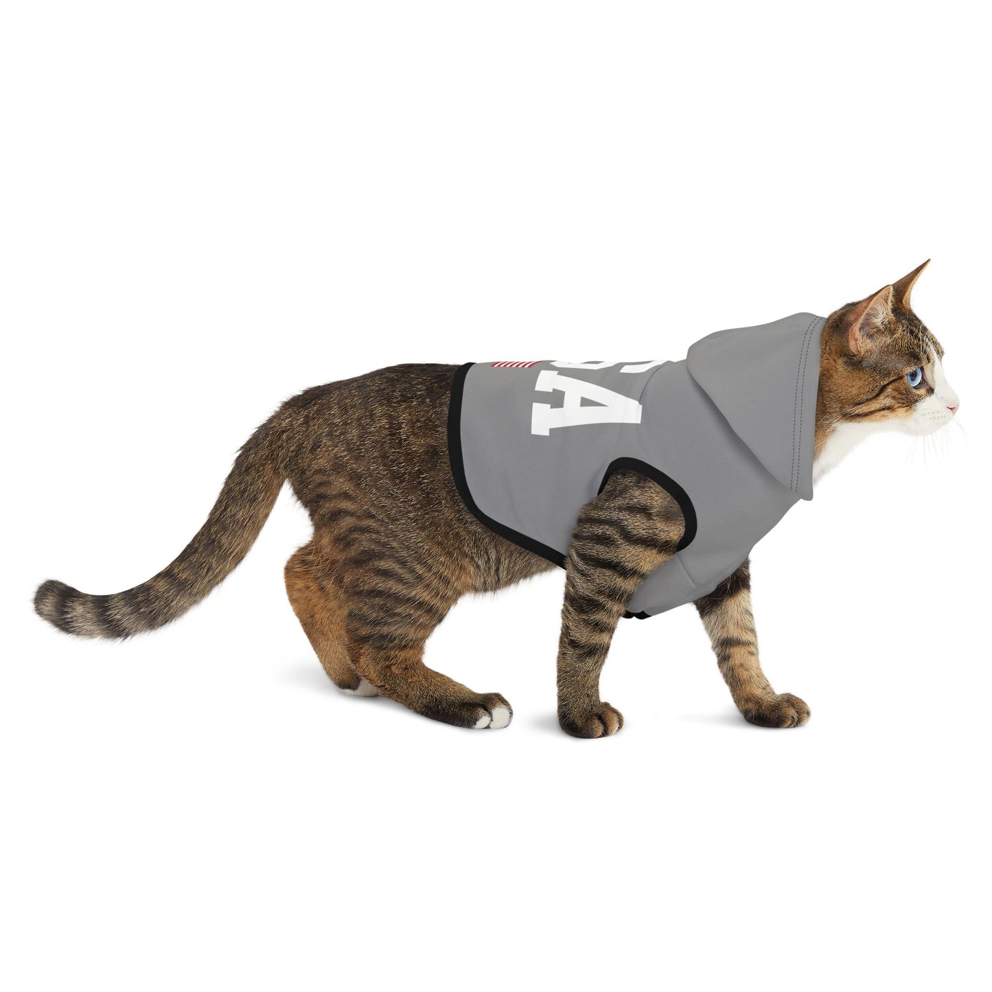 Princess Grace  TEAM USA  Pet Hoodie