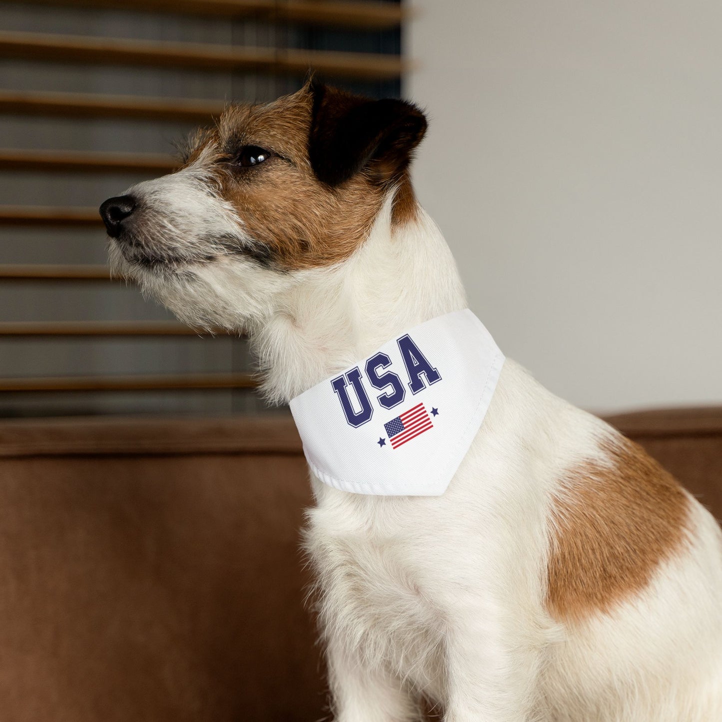 Princess Grace  TEAM USA  Pet Bandana Collar