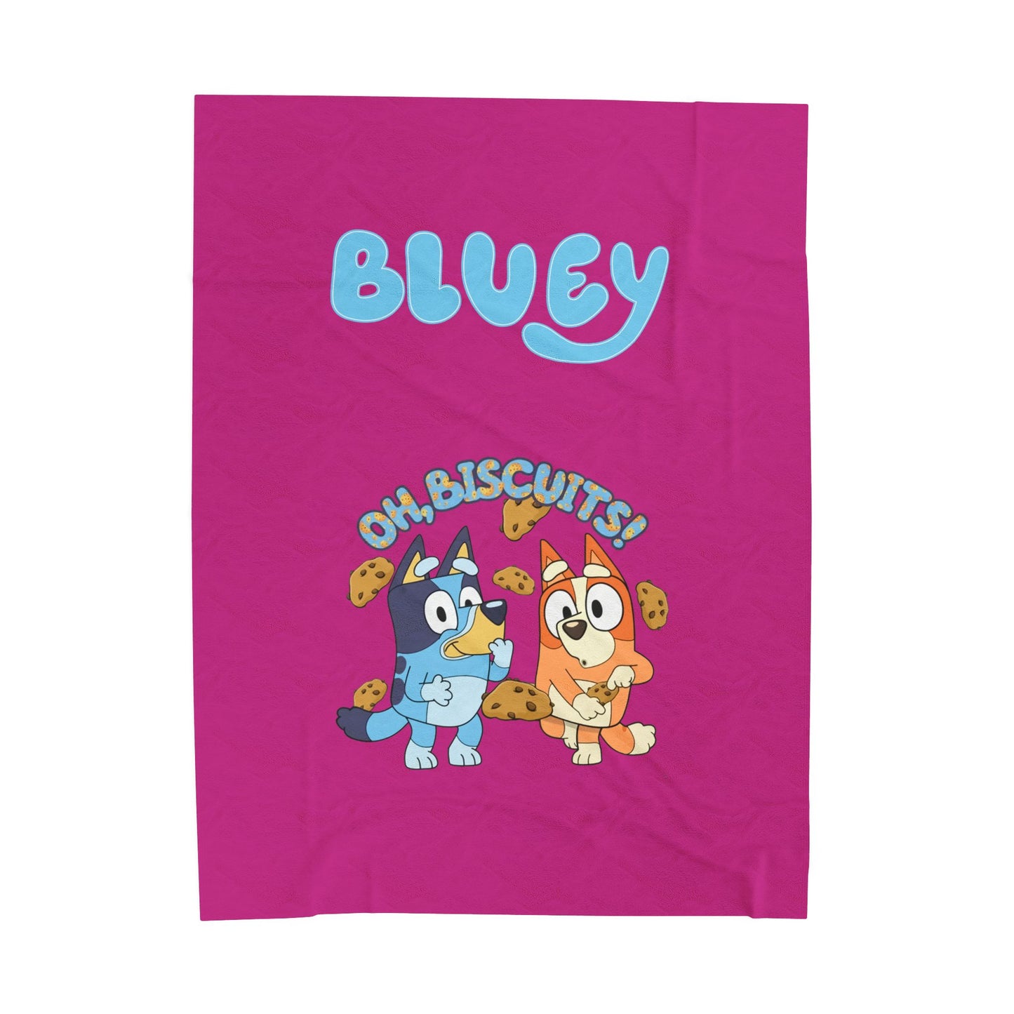 Princess Grace  Bluey Oh Biscuits  Velveteen Plush Blanket for Kids