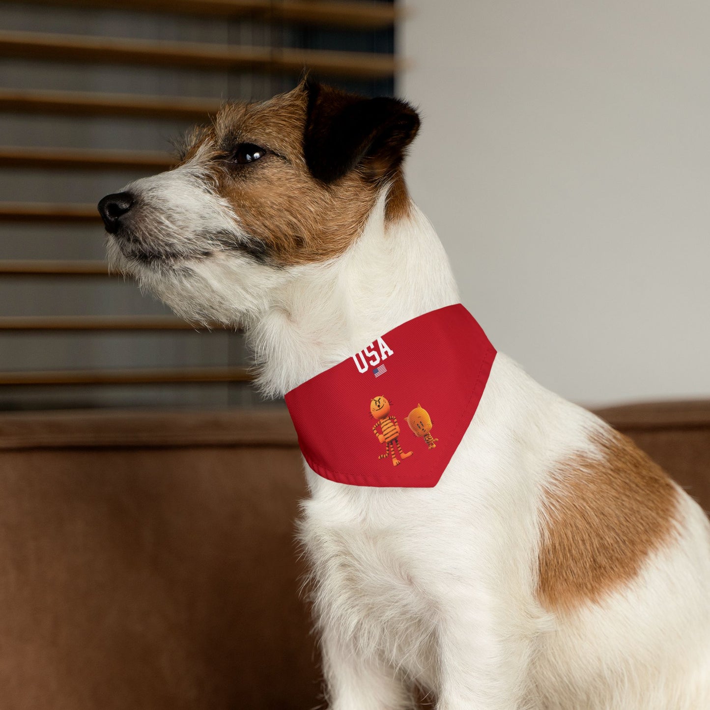 Princess Grace  TEAM USA Pet Bandana Collar