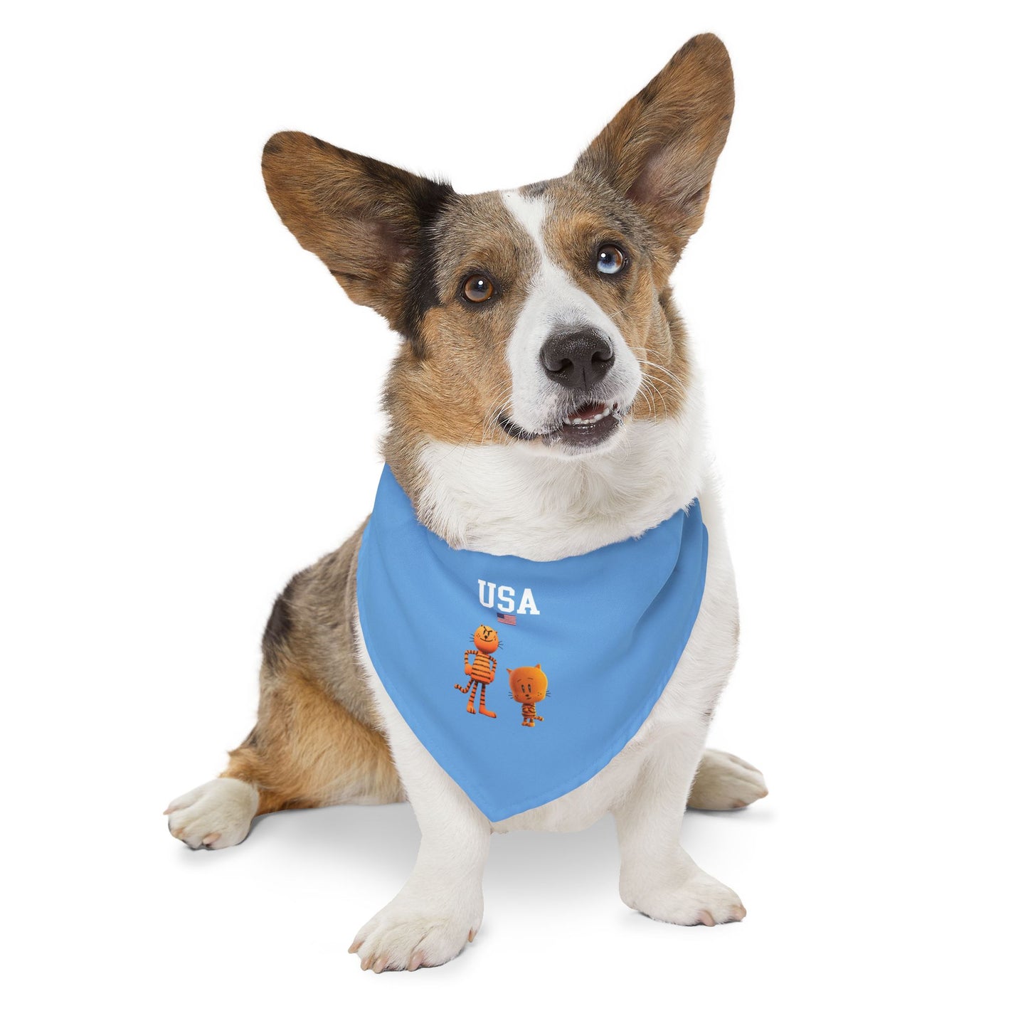 Princess Grace  TEAM USA  Pet Bandana Collar