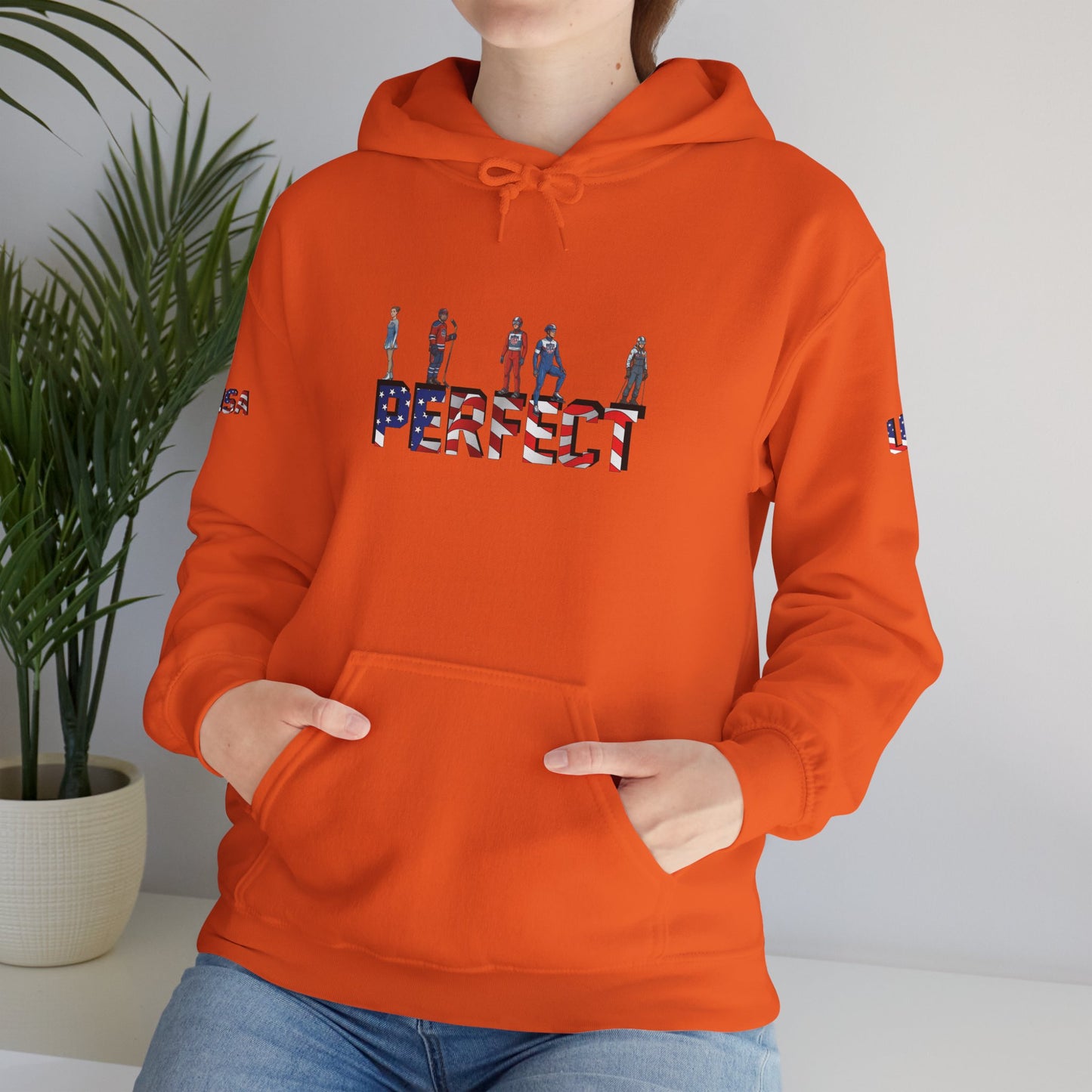 Princess Grace  TEAM USA  Unisex Heavy Blend  Hooded Sweatshirt