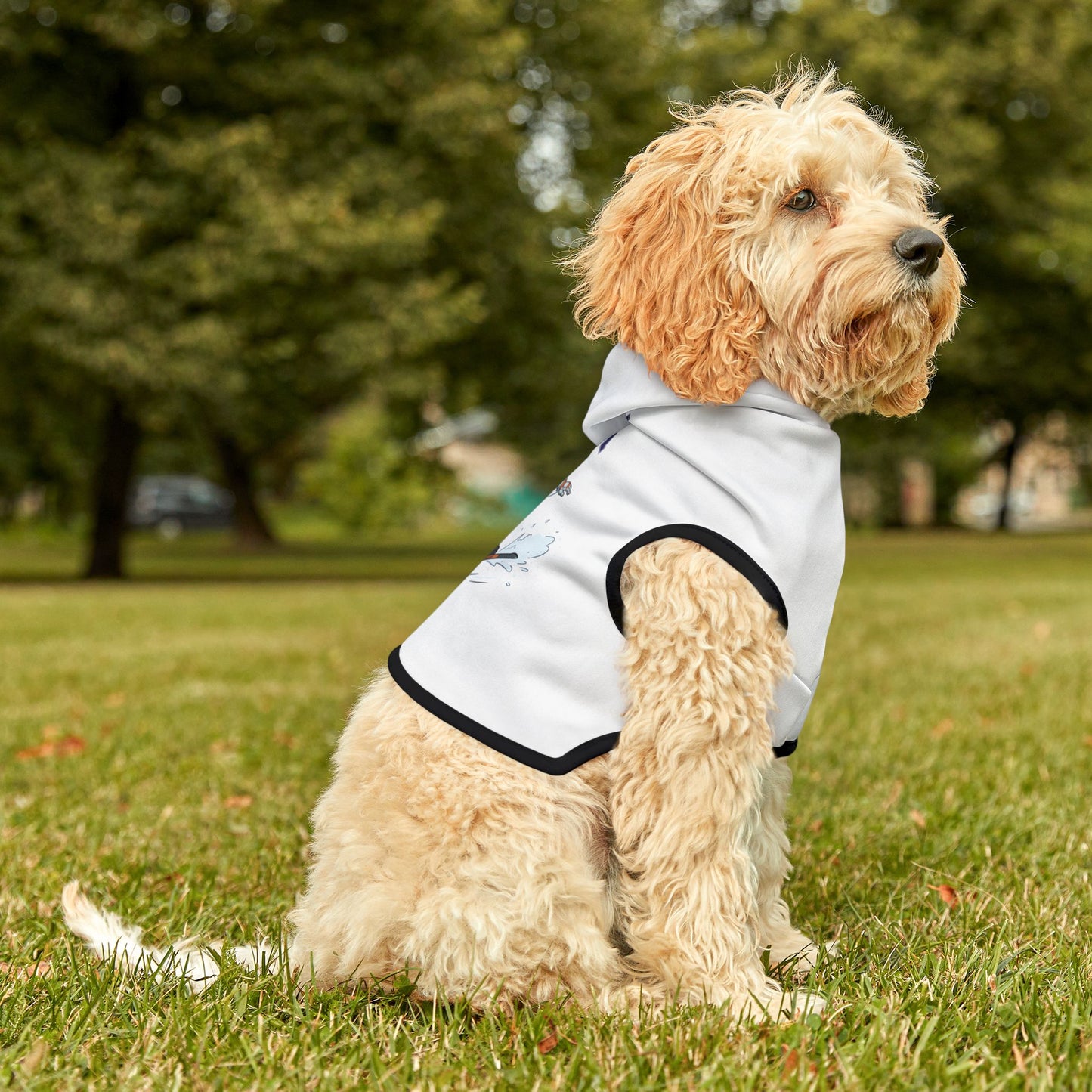 Princess Grace  TEAM USA  Pet Hoodie