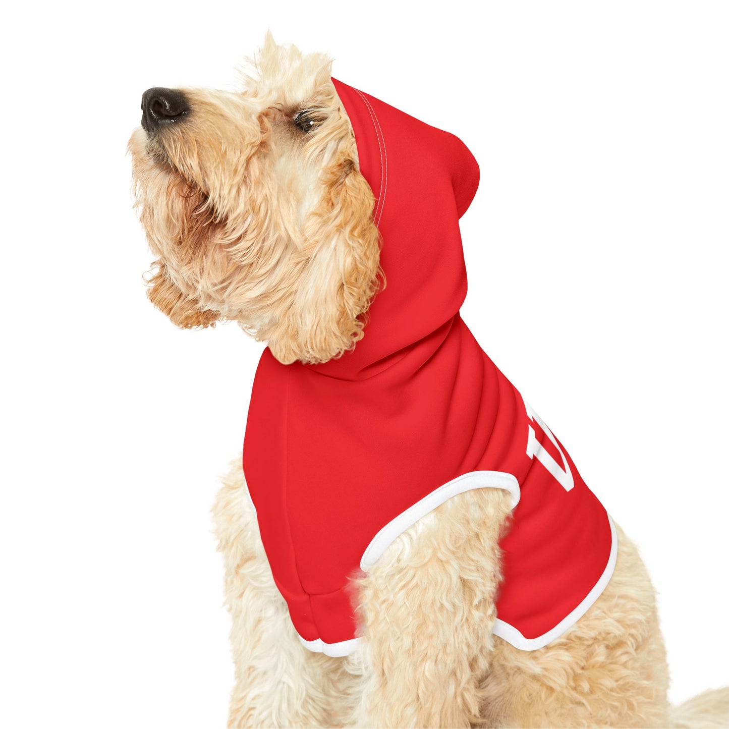 Princess Grace  TEAM USA  Pet Hoodie