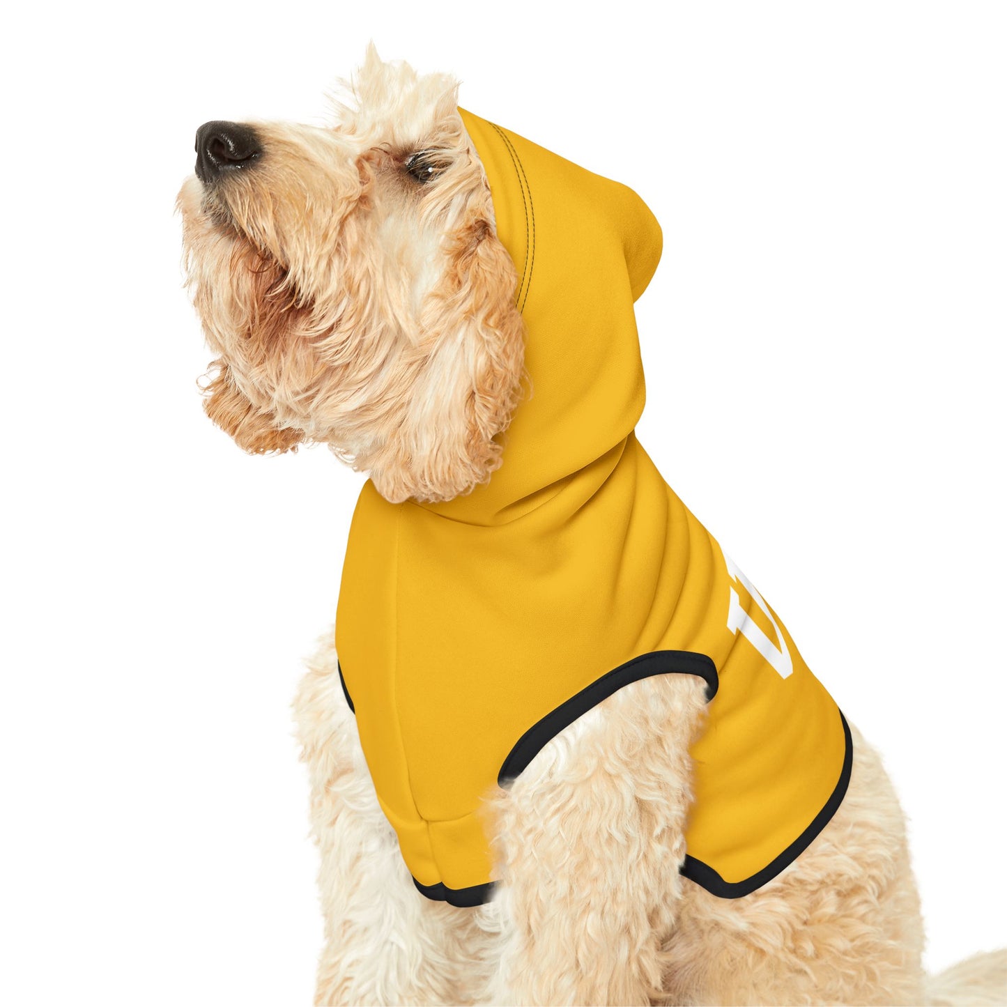 Princess Grace  TEAM USA  Pet Hoodie