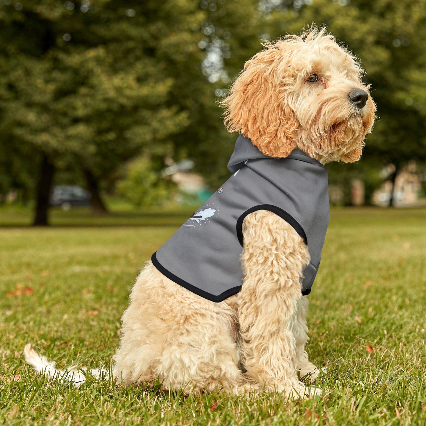 Princess Grace  TEAM USA  Pet Hoodie