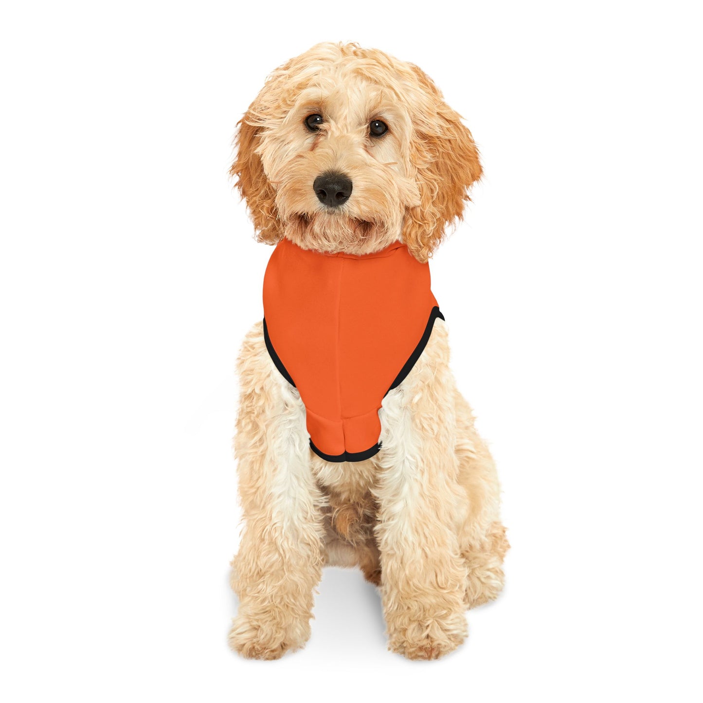 Princess Grace  TEAM USA  Pet Hoodie