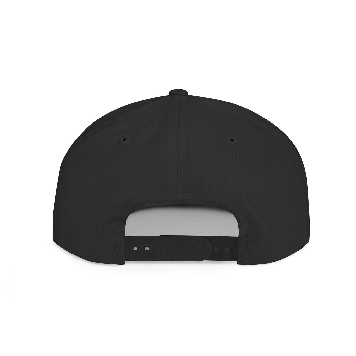 Princess Grace  TEAM USA  Flat Bill Snapback Hat
