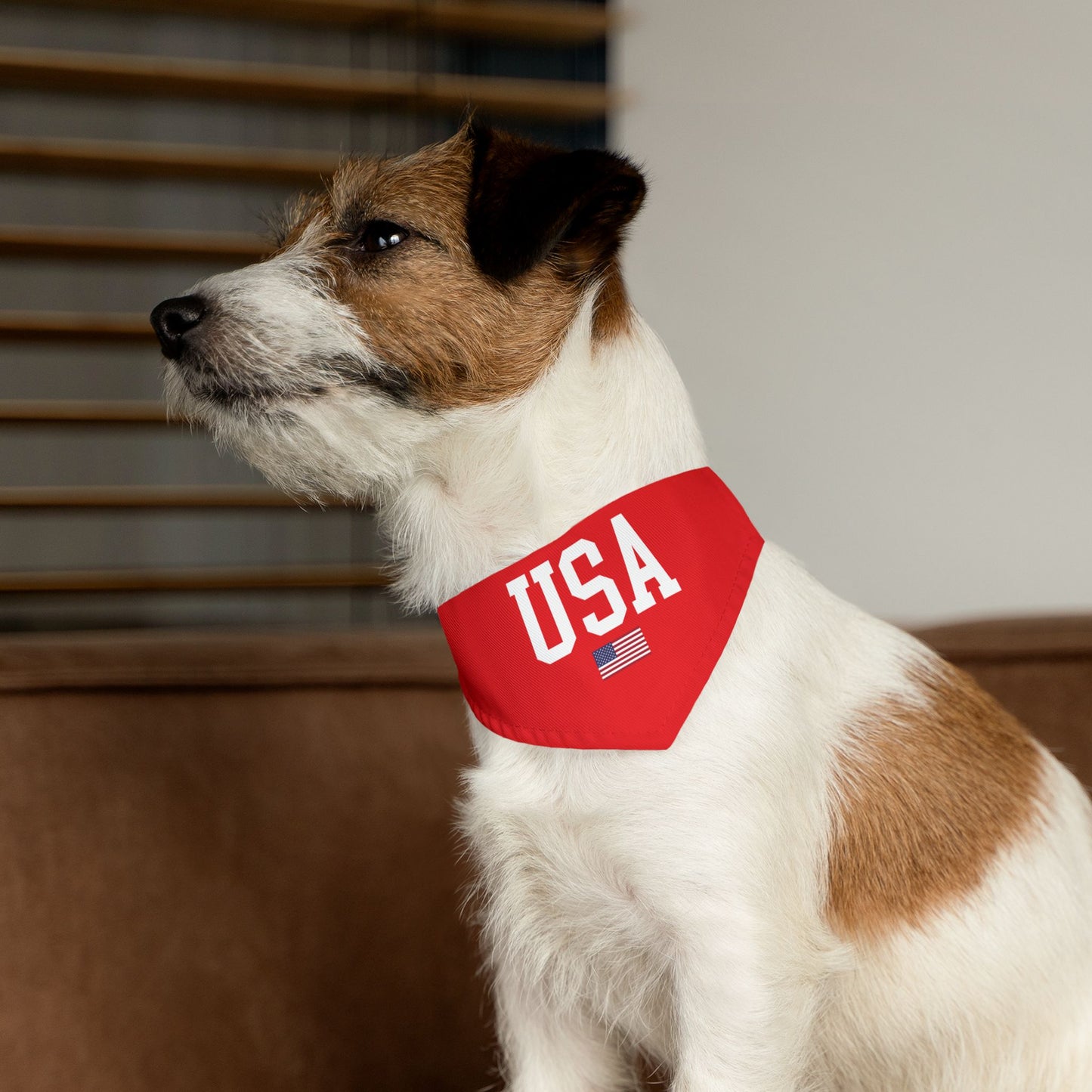Princess Grace  TEAM USA  Pet Bandana Collar