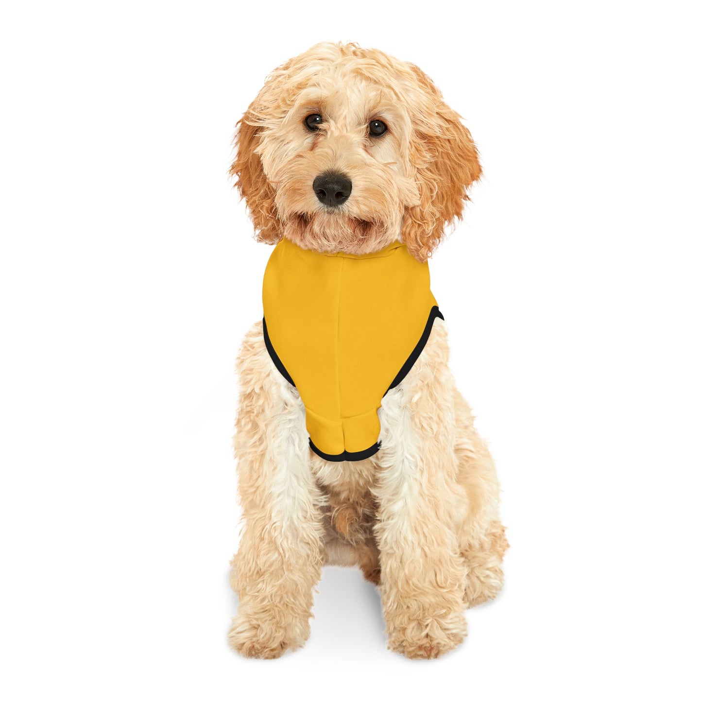 Princess Grace  TEAM USA  Pet Hoodie