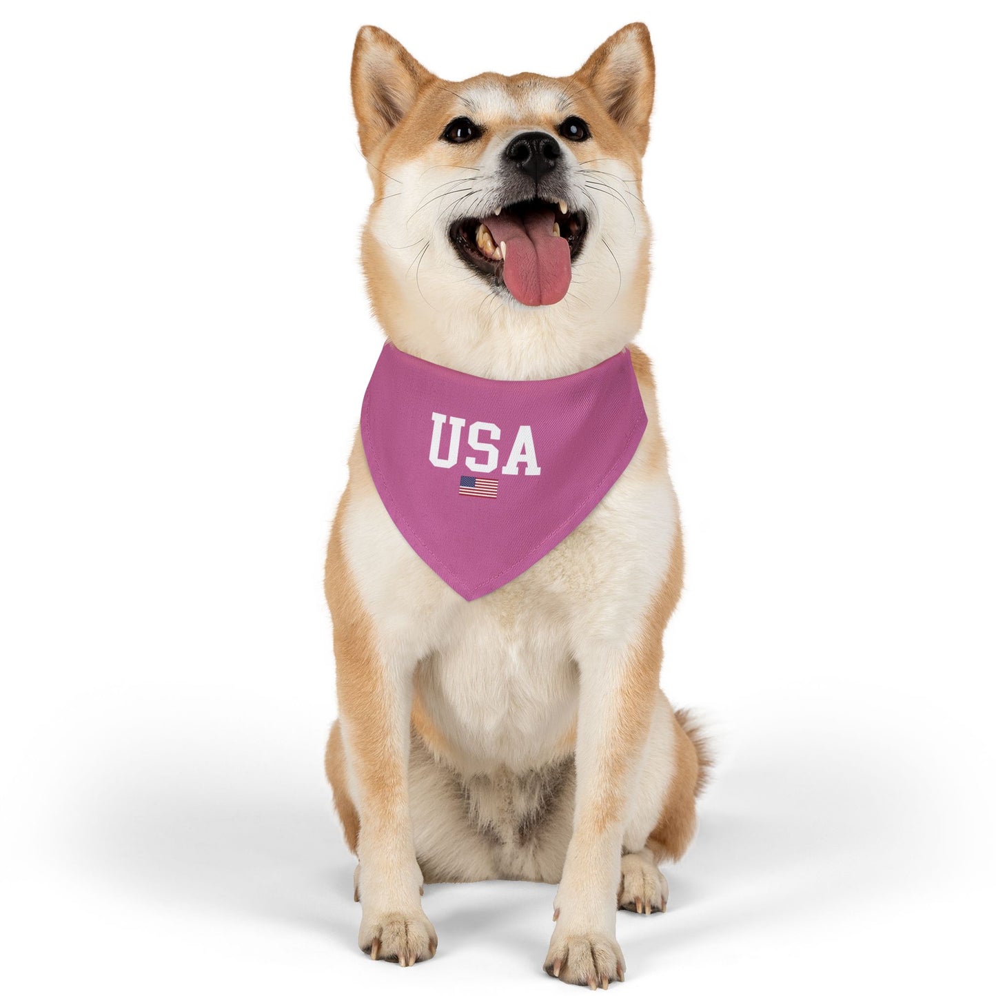 Princess Grace  TEAM USA  Pet Bandana Collar