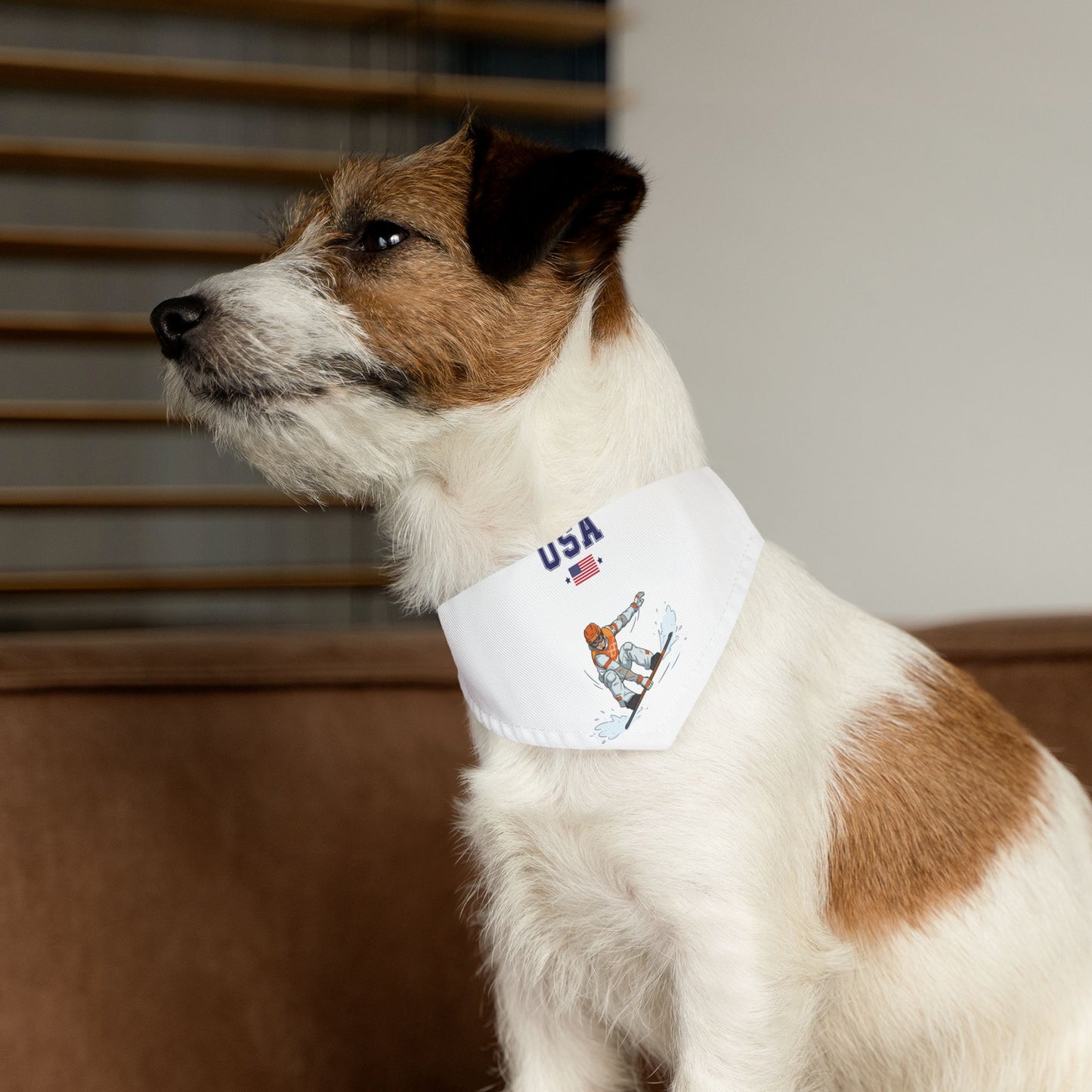 Princess Grace  TEAM USA  Pet Bandana Collar