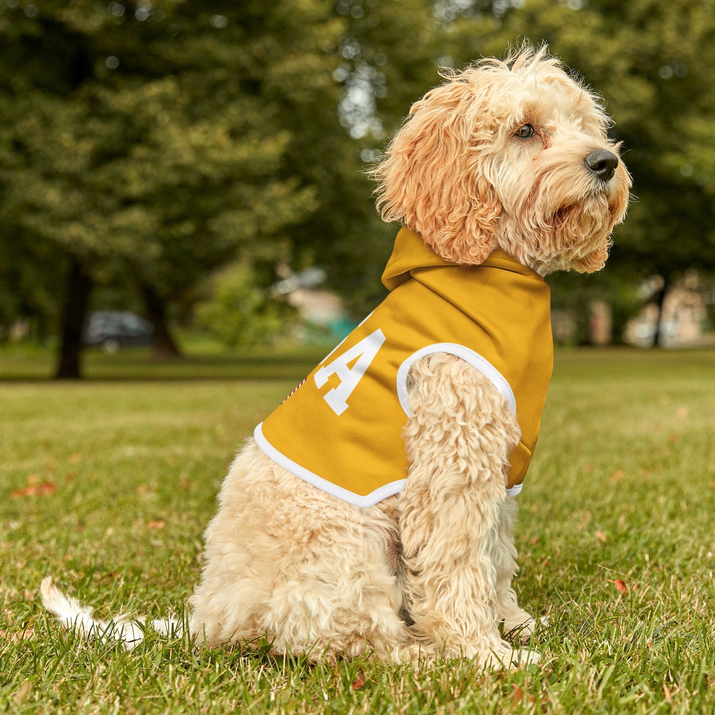 Princess Grace  TEAM USA  Pet Hoodie