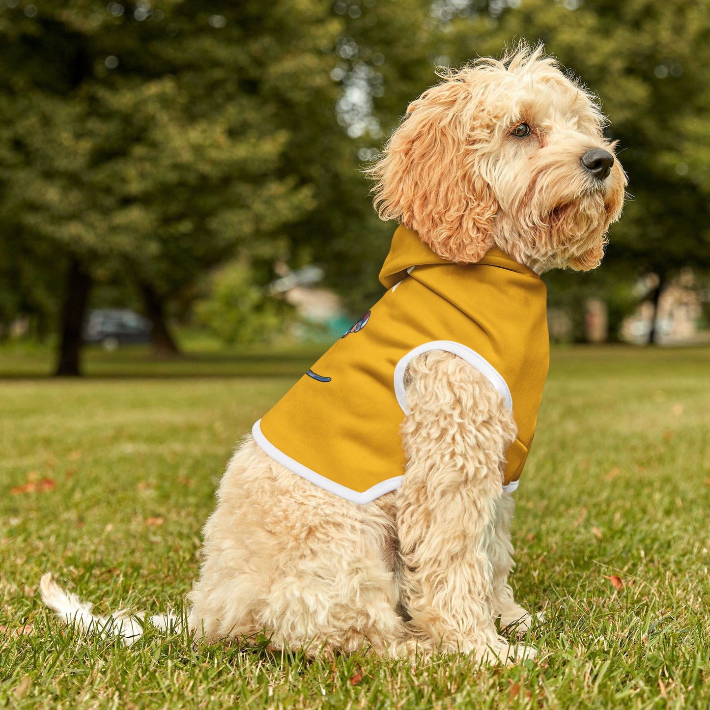 Princess Grace  TEAM USA  Pet Hoodie