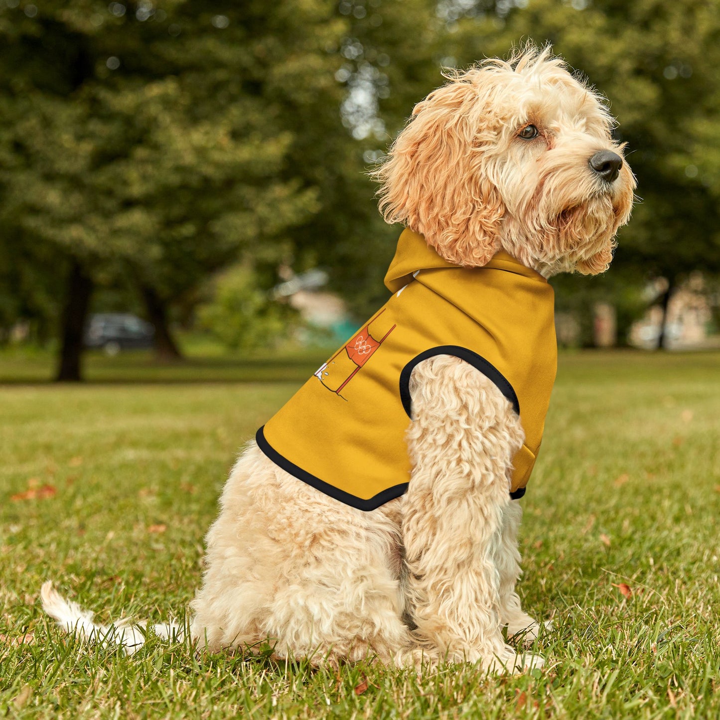 Princess Grace  TEAM USA  Pet Hoodie