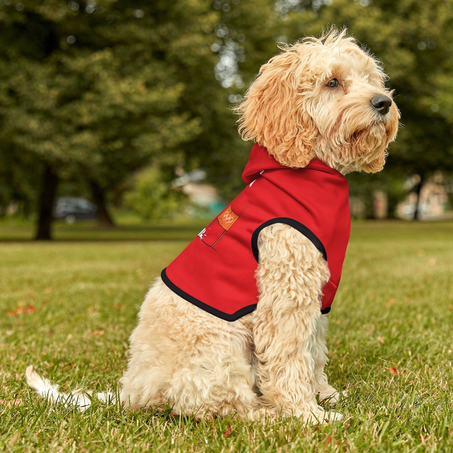 Princess Grace  TEAM USA  Pet Hoodie