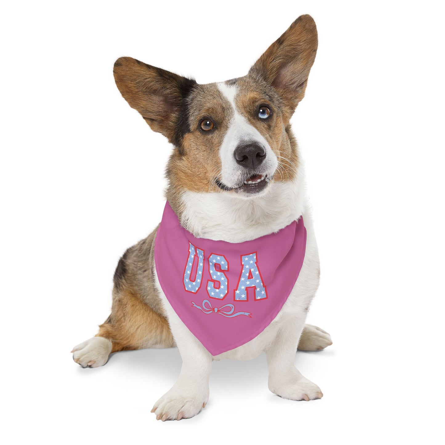 Princess Grace  USA Pet Bandana Collar for Dogs Patriotic Dog Accessories