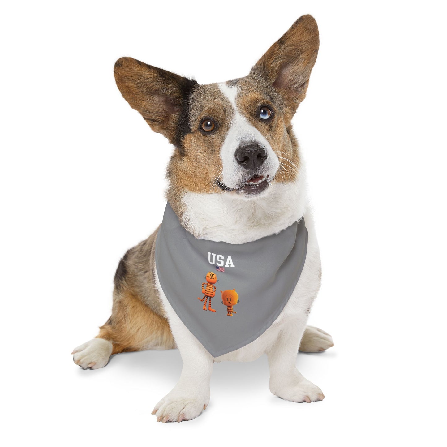 Princess Grace  TEAM USA  Pet Bandana Collar