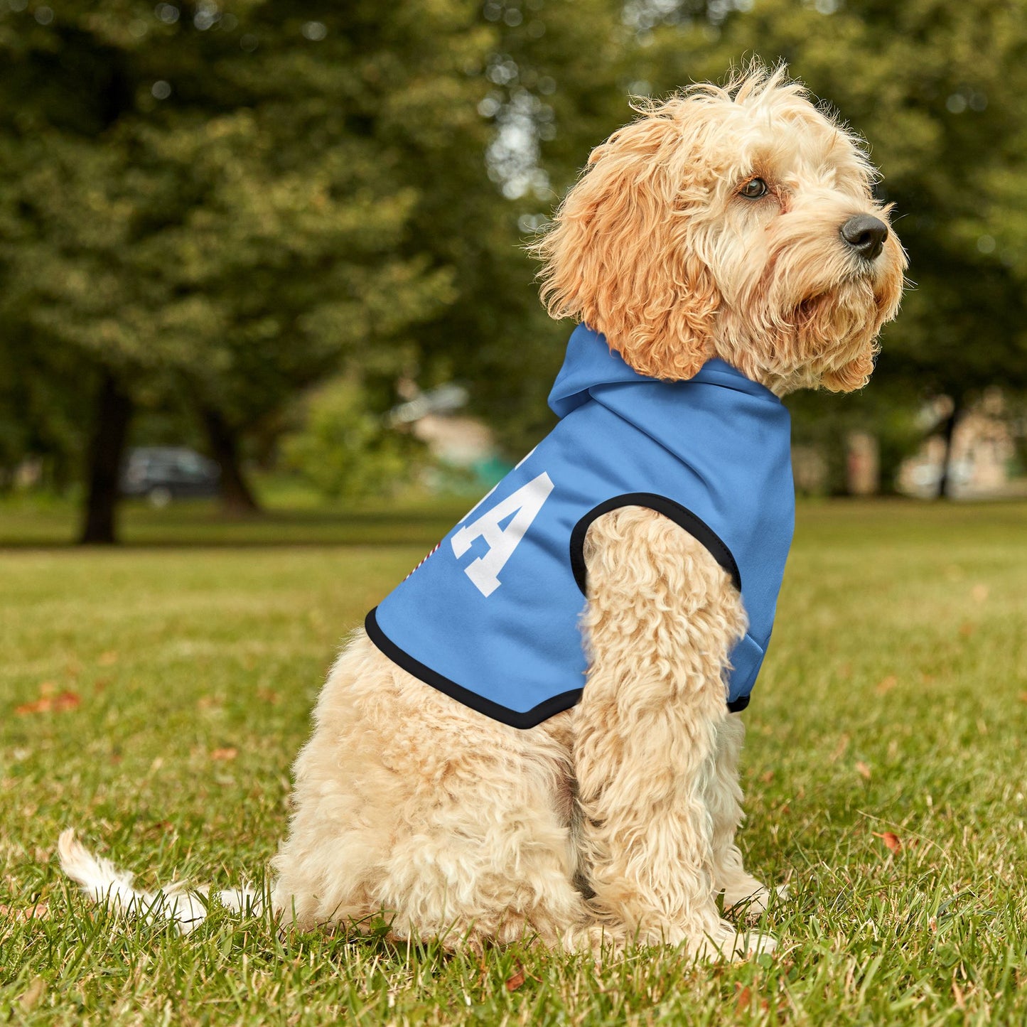 Princess Grace  TEAM USA  Pet Hoodie