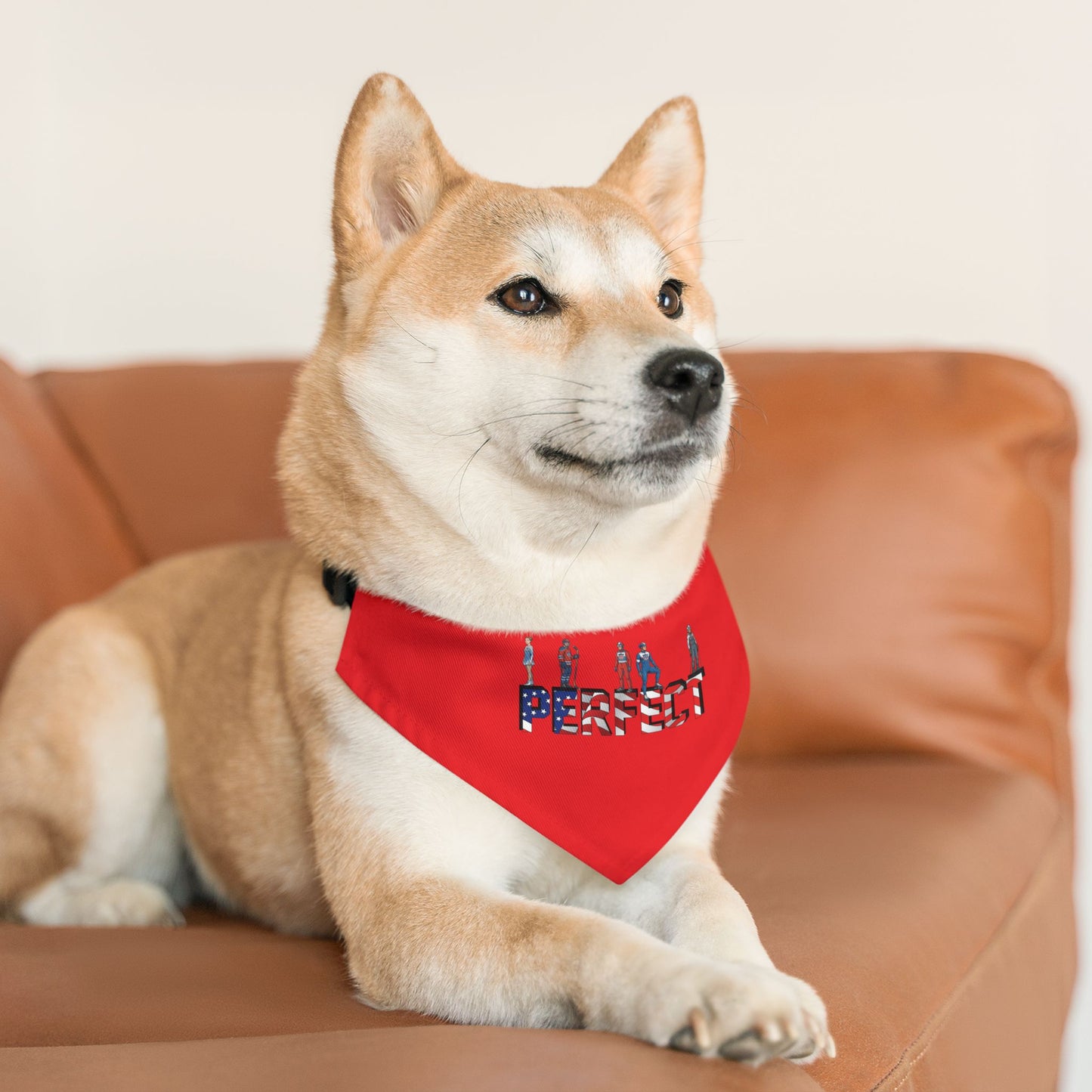 Princess Grace  TEAM USA  Pet Bandana Collar