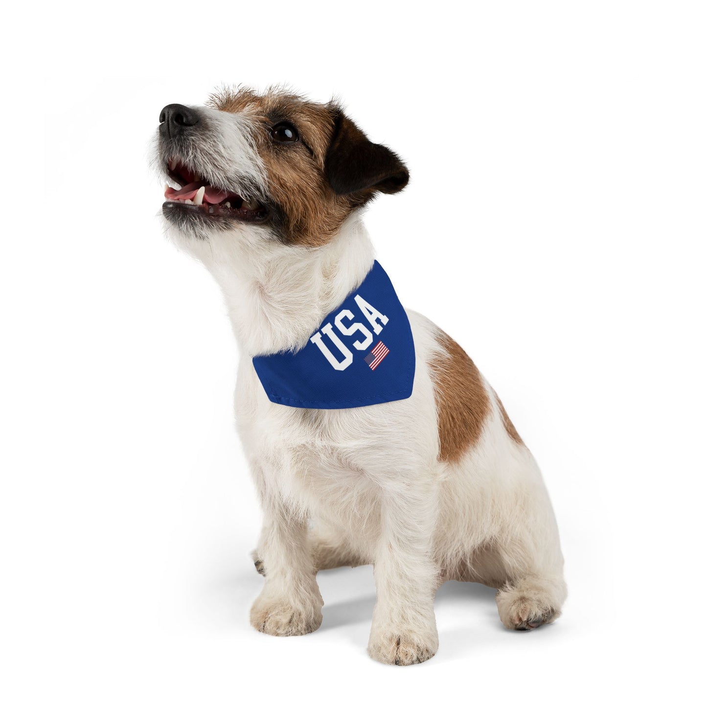 Princess Grace  TEAM USA  Pet Bandana Collar