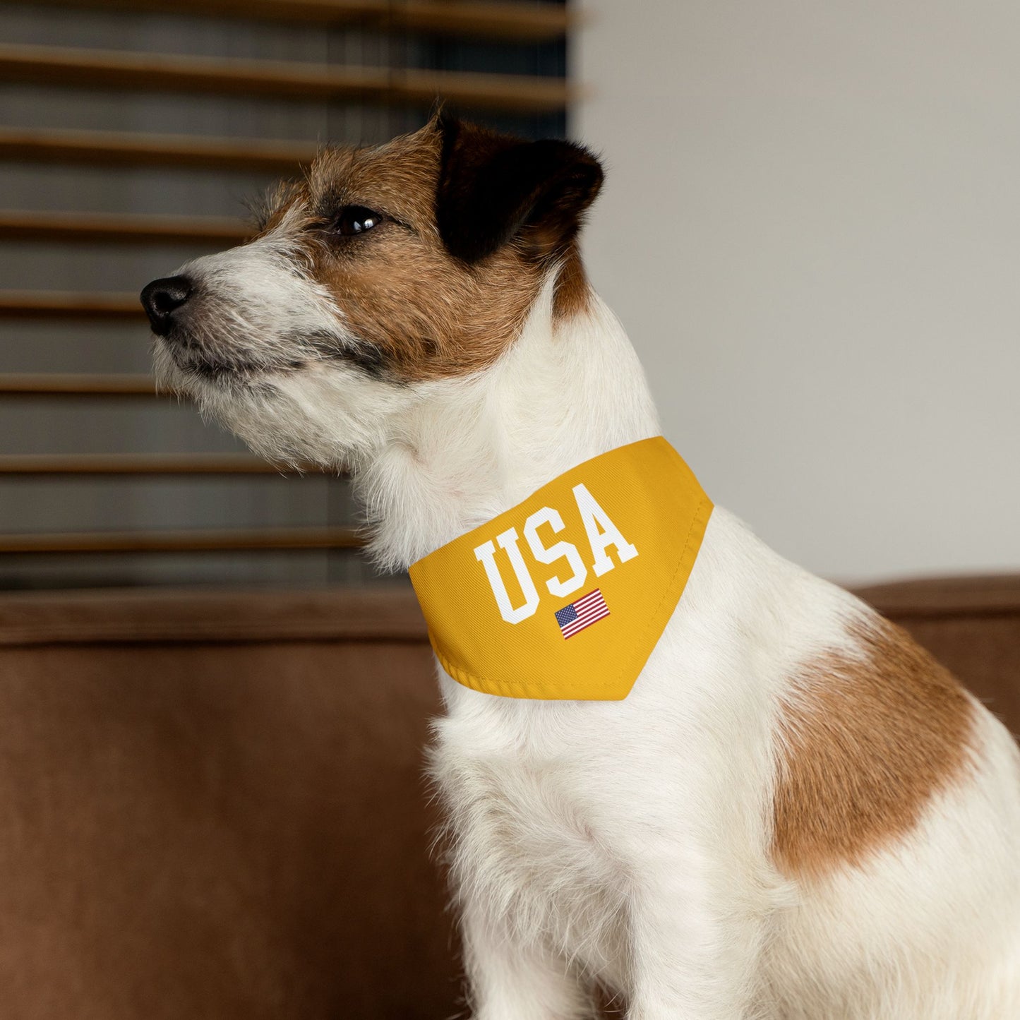 Princess Grace  TEAM USA  Pet Bandana Collar