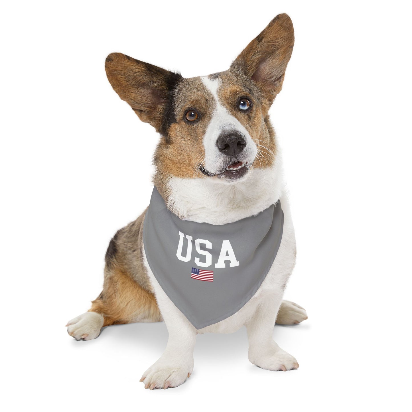 Princess Grace  TEAM USA  Pet Bandana Collar