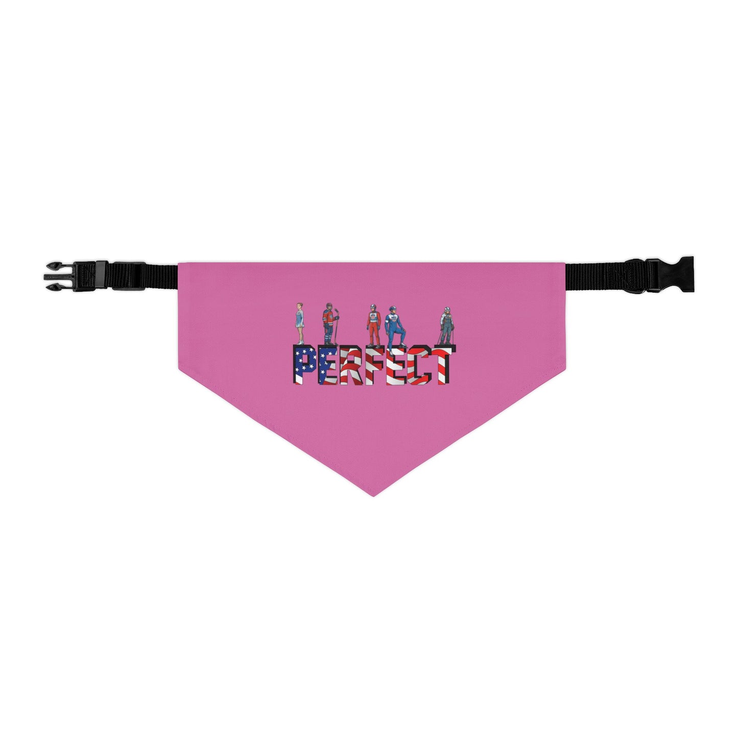 Princess Grace  TEAM USA  Pet Bandana Collar