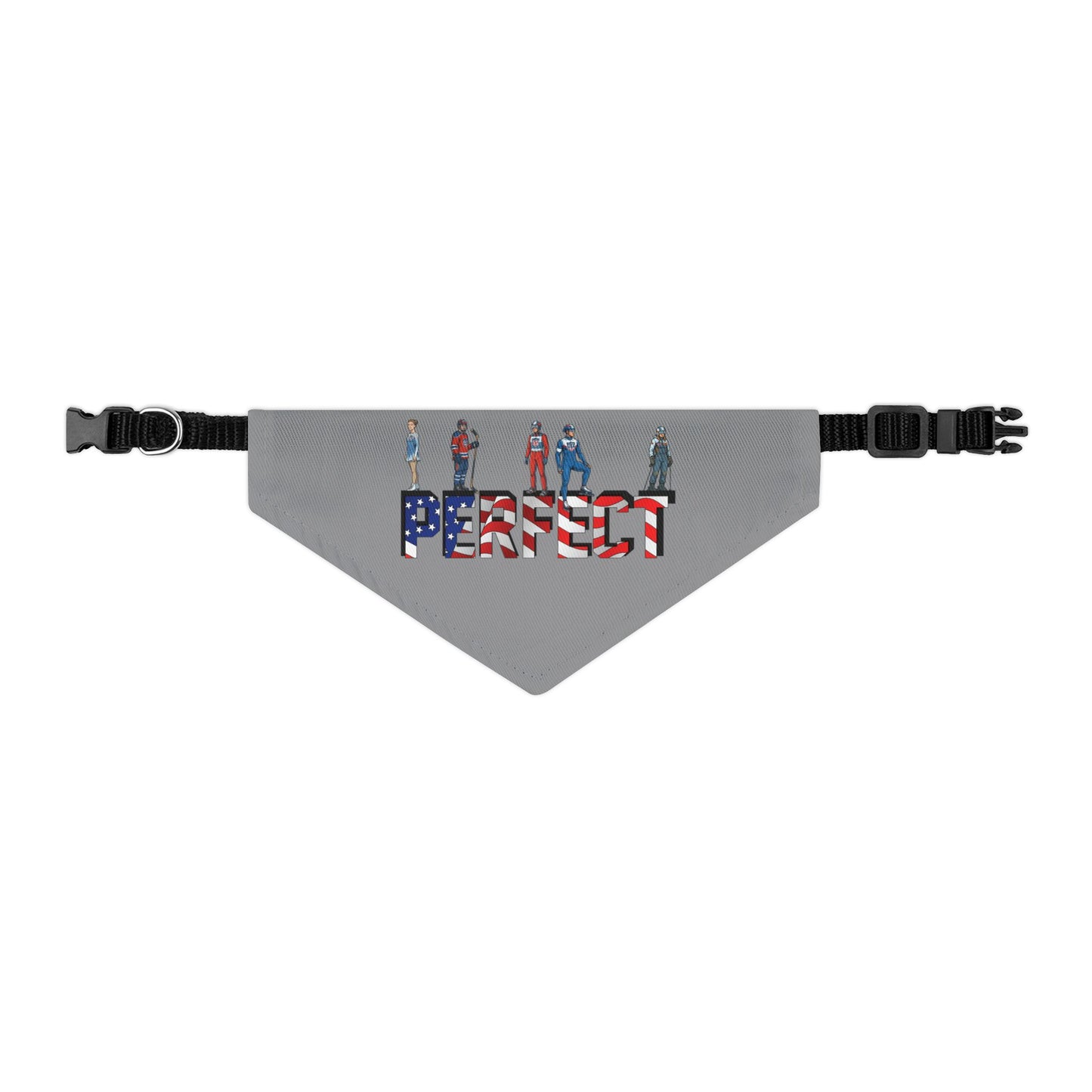 Princess Grace  TEAM USA  Pet Bandana Collar