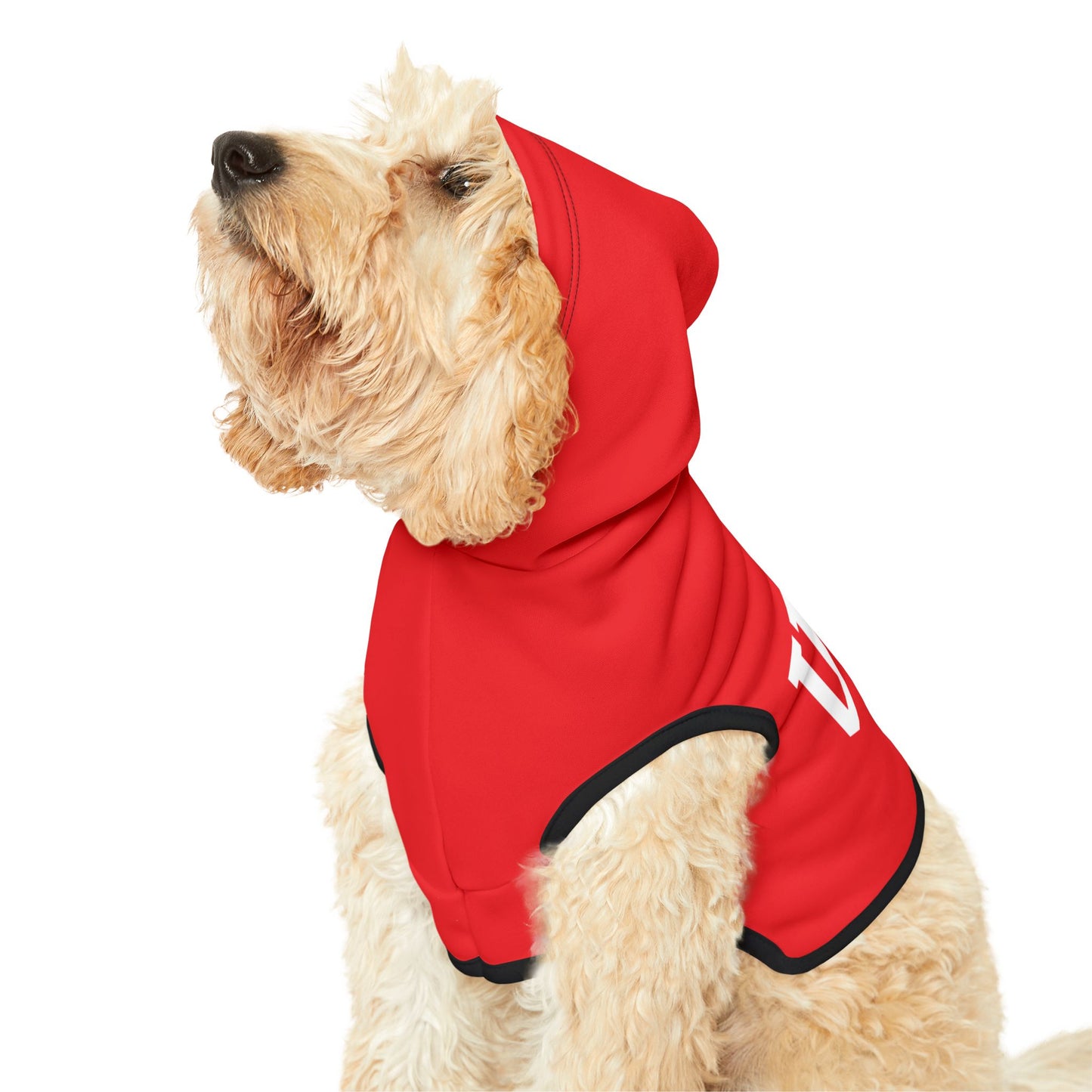 Princess Grace  TEAM USA  Pet Hoodie