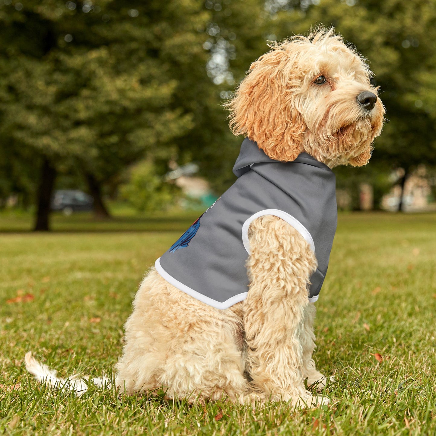 Princess Grace  TEAM USA  Pet Hoodie
